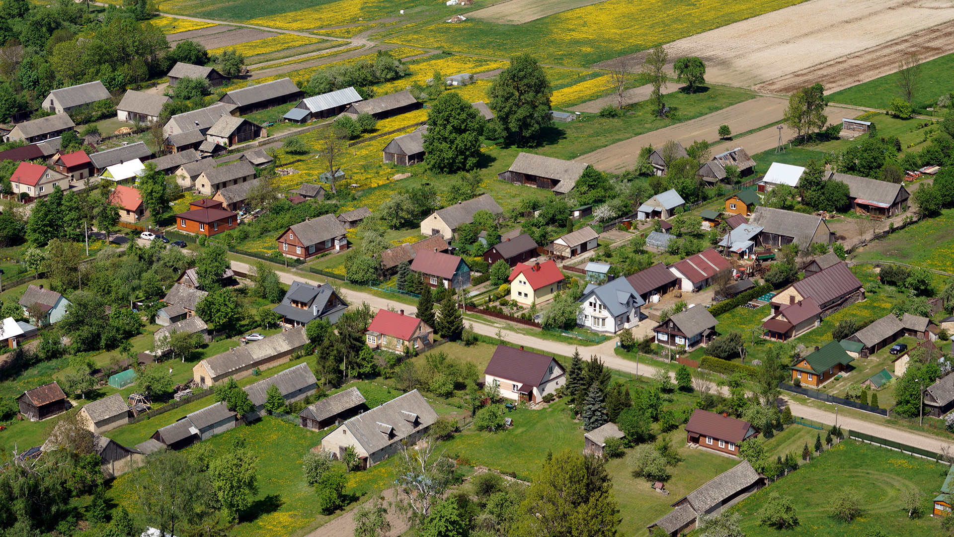 2018.05.05  |  Dawidowicze  |  fot. Jerzy Grabowski