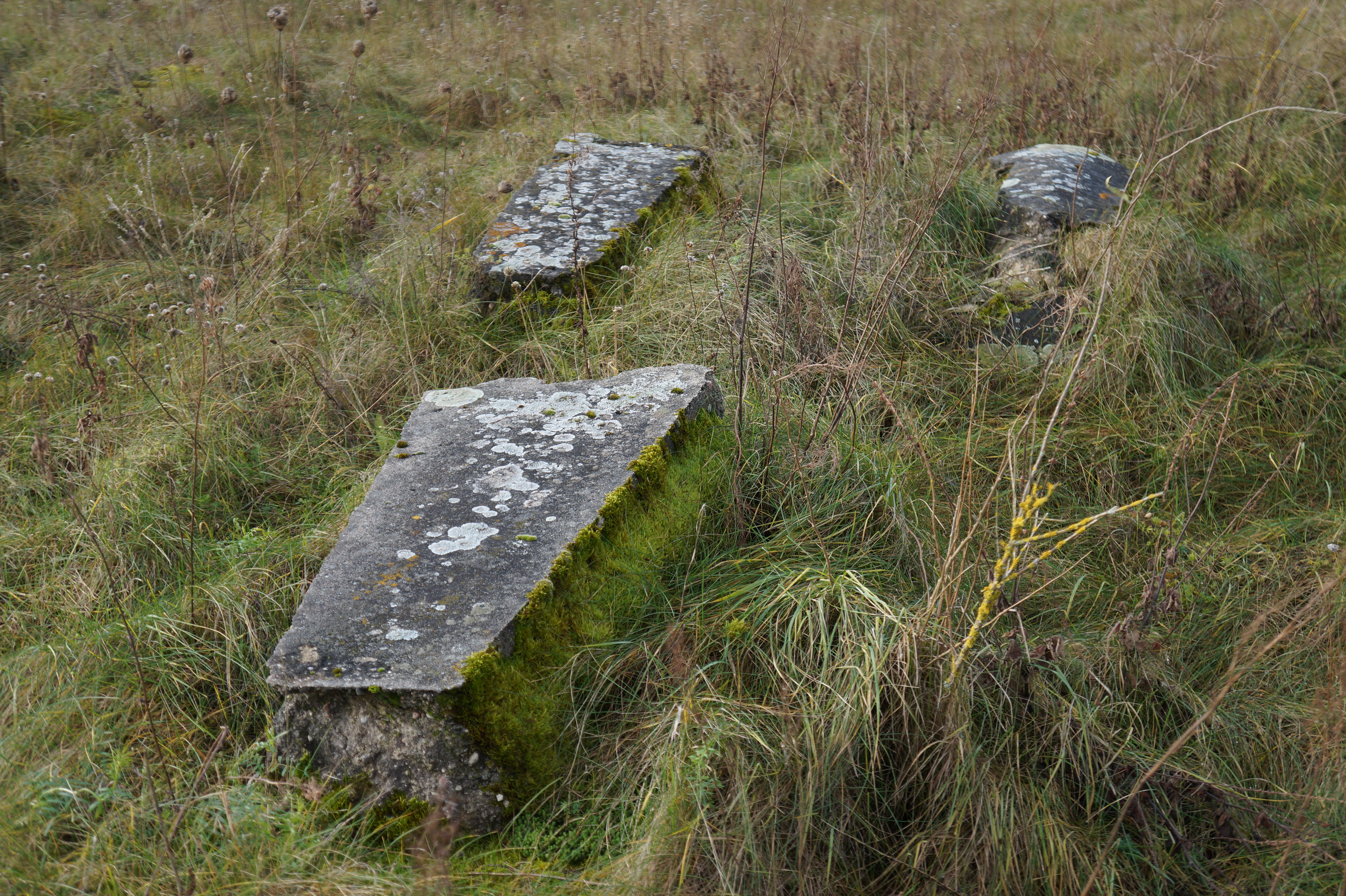2017.11.27  |  Cmentarz żydowski w Zabłudowie  |  fot. Marcin Ciuchniecki
