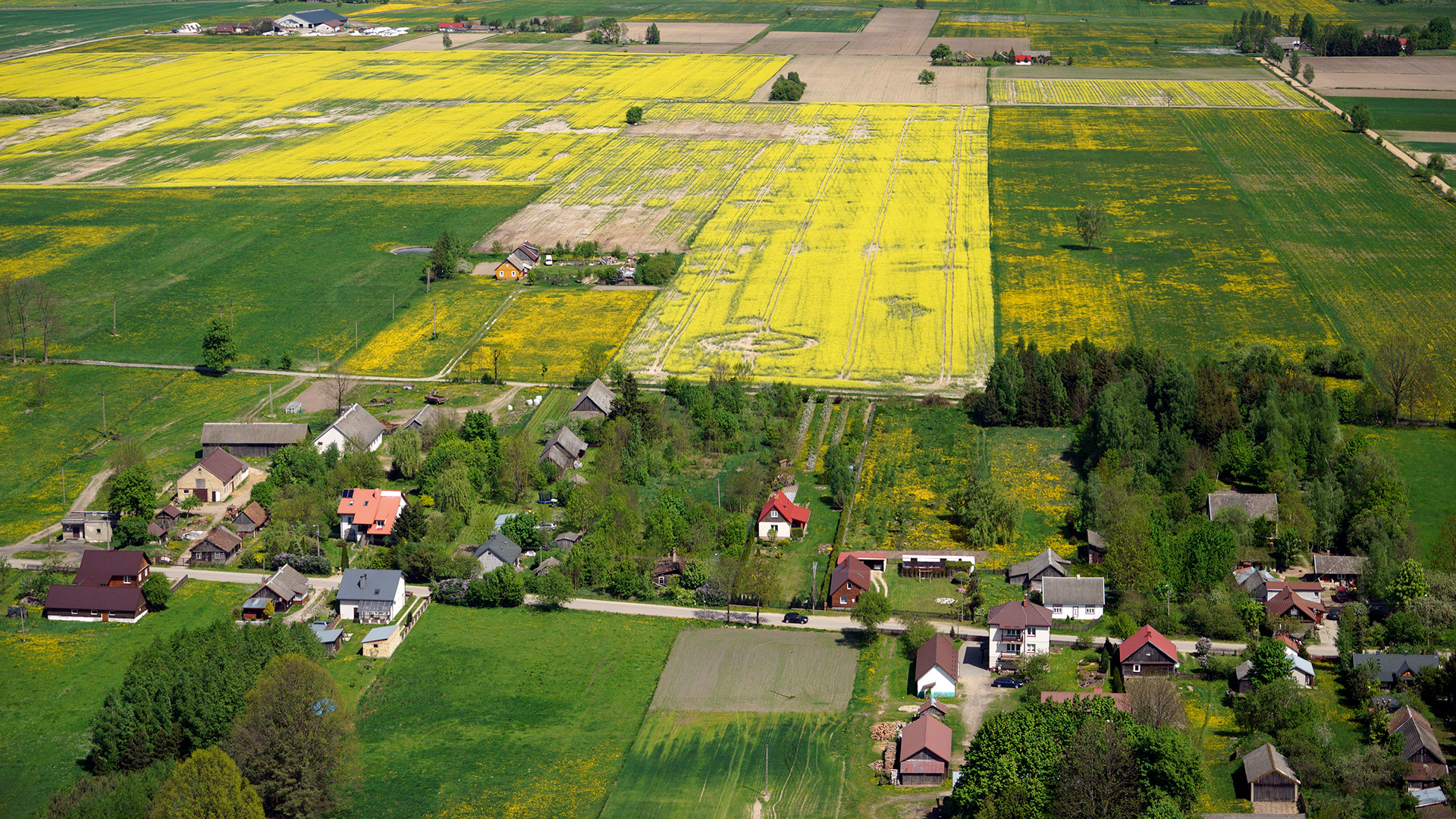 2018.05.05  |  Folwarki Małe  |  fot. Jerzy Grabowski