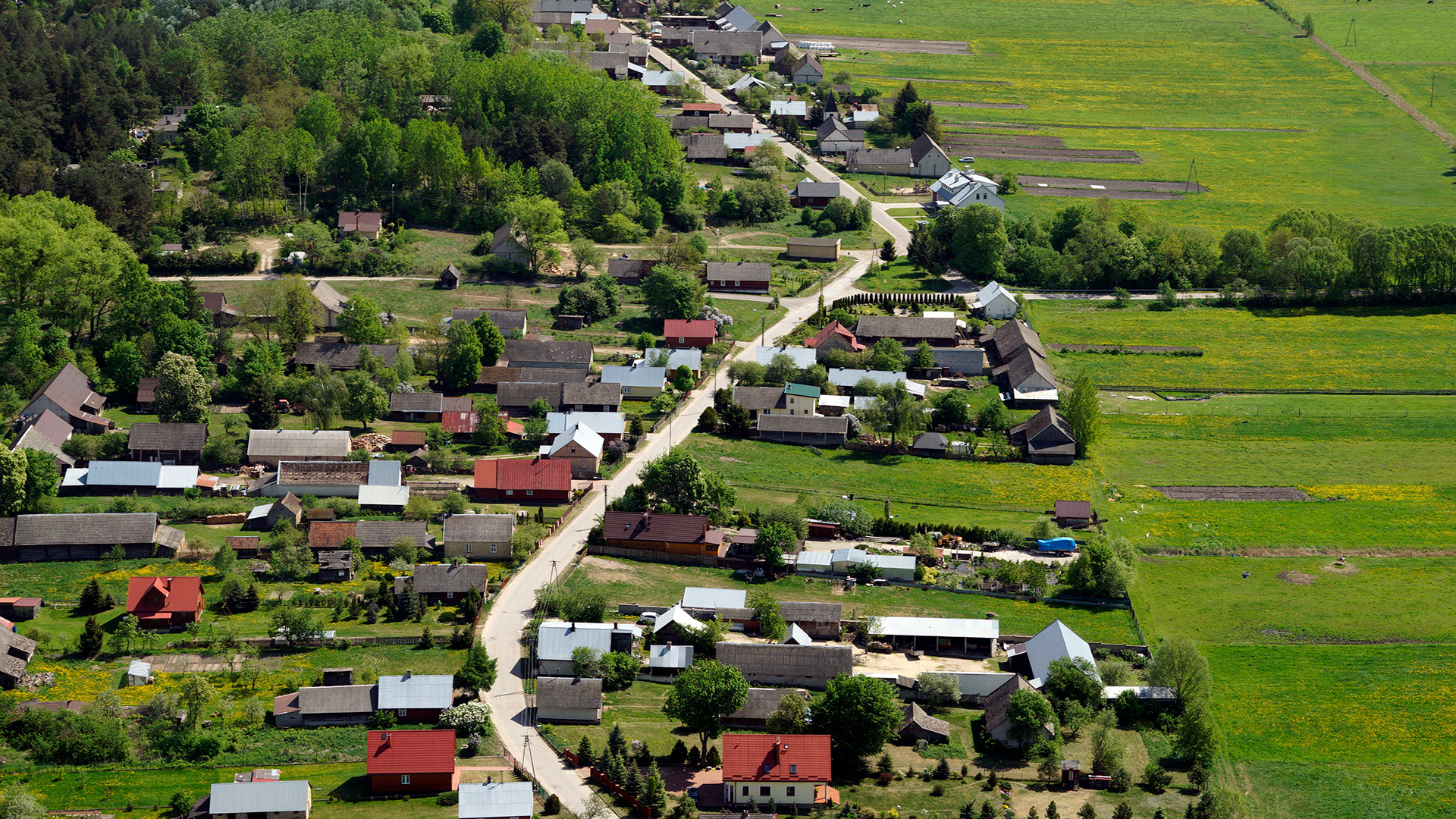 2018.05.05  |  Krynickie  |  fot. Jerzy Grabowski