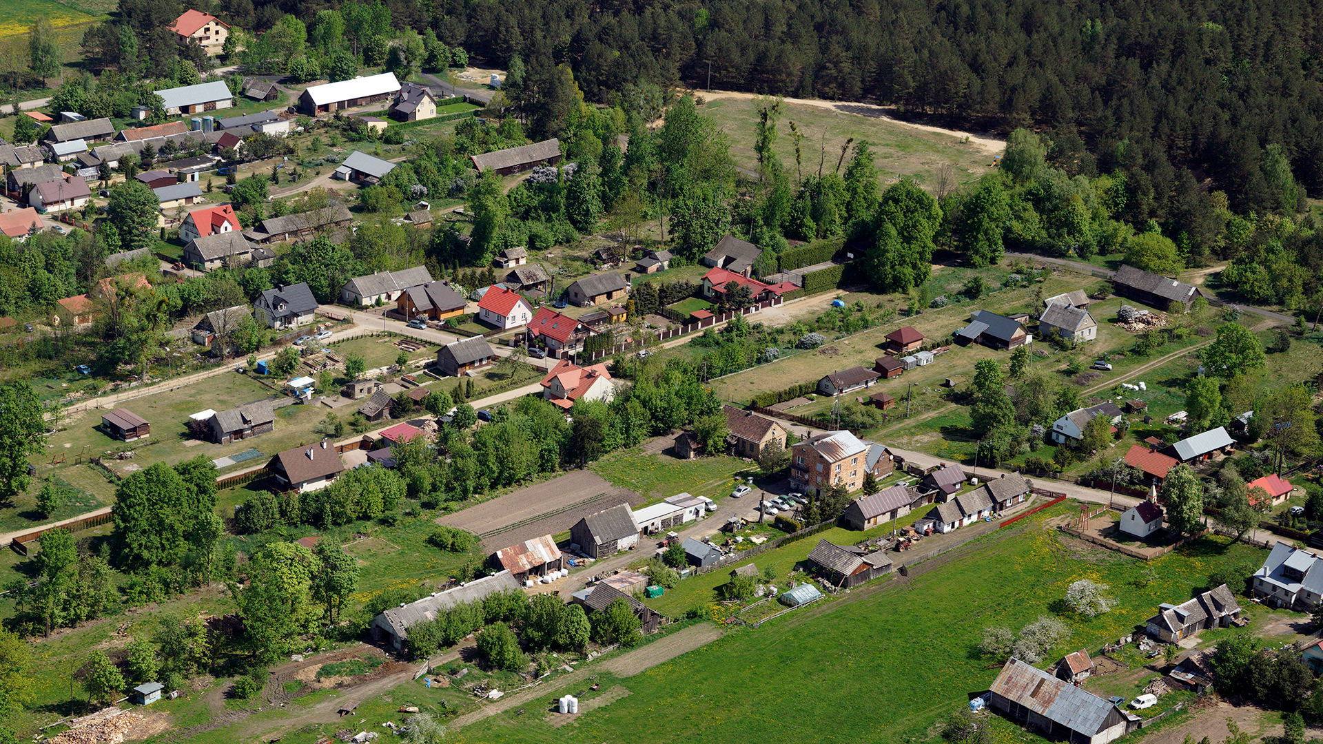 2018.05.05  |  Halickie  |  fot. Jerzy Grabowski