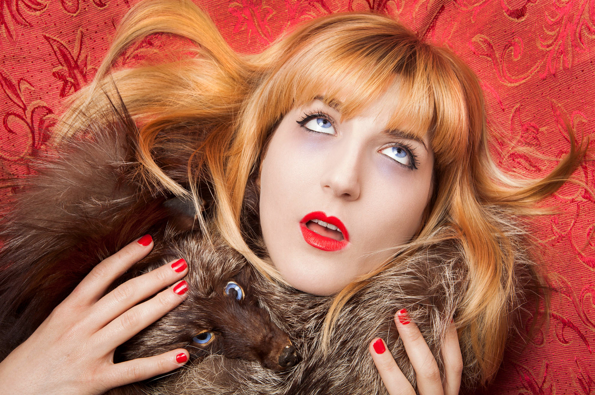 modella che posa con una volpe al collo che la strozza, citando Dario Argento 