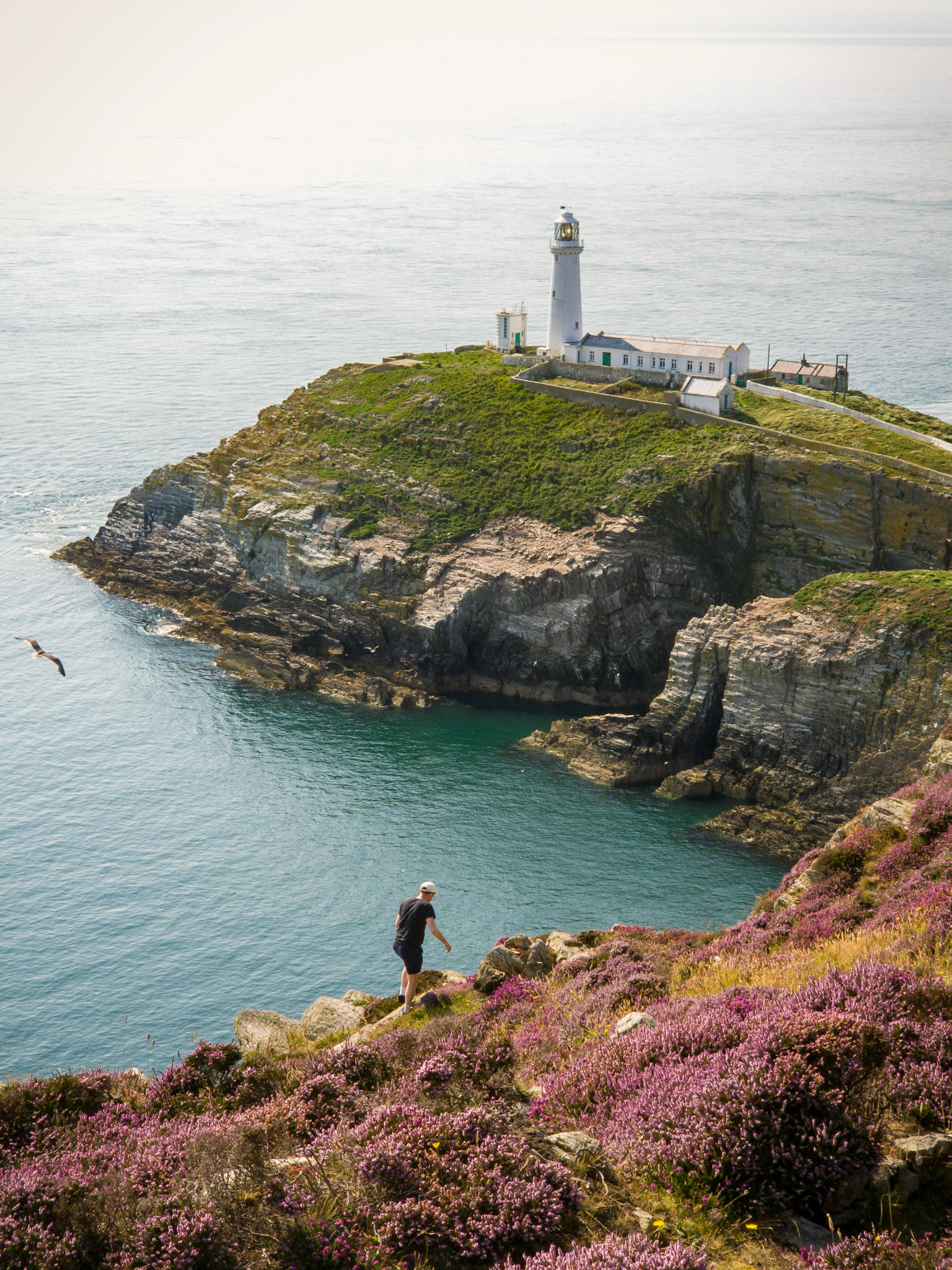 South Stack, Anglesey, North Wales