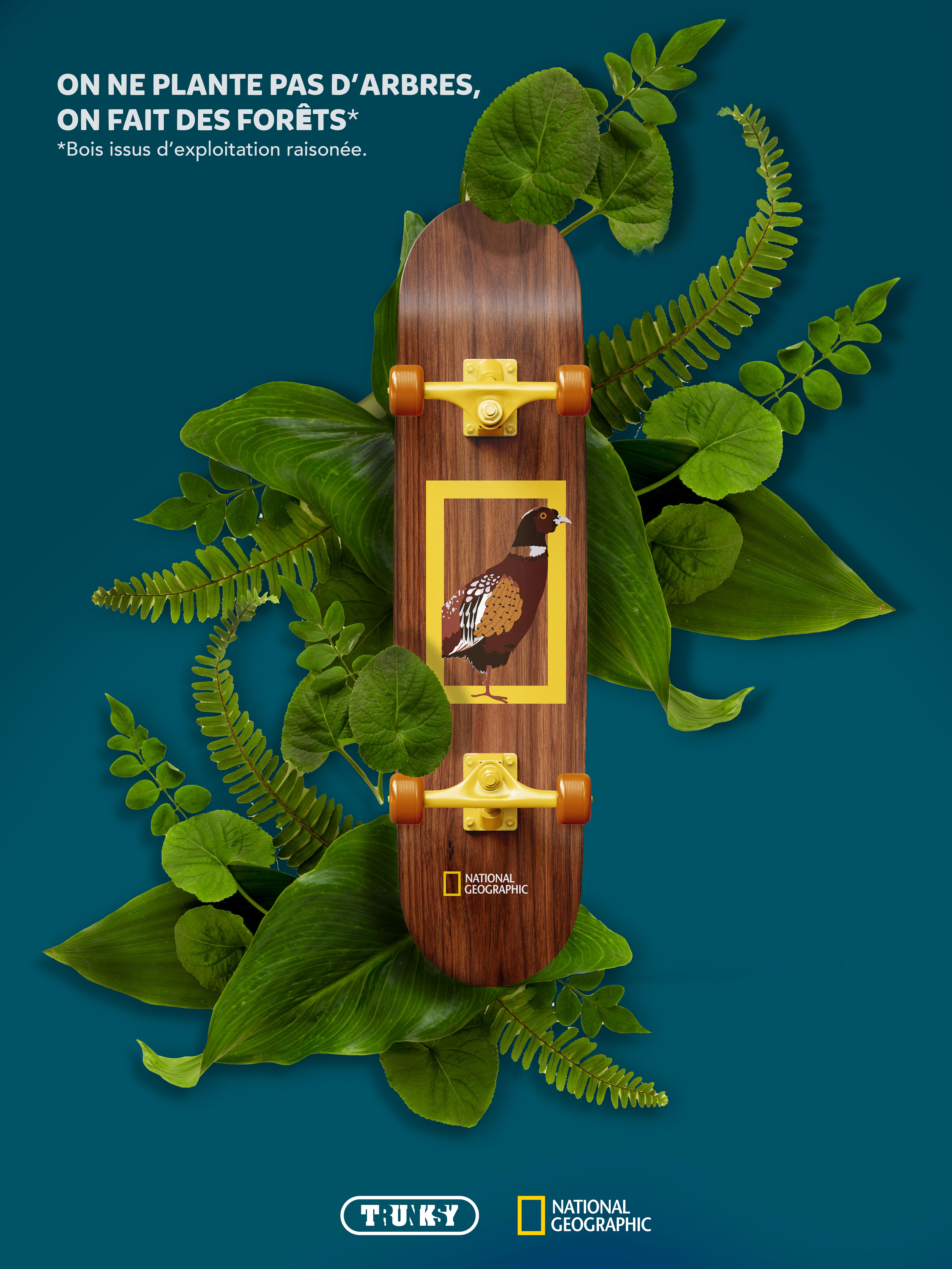 Affiche 1 Trunksy en partenariat avec National Geographic.