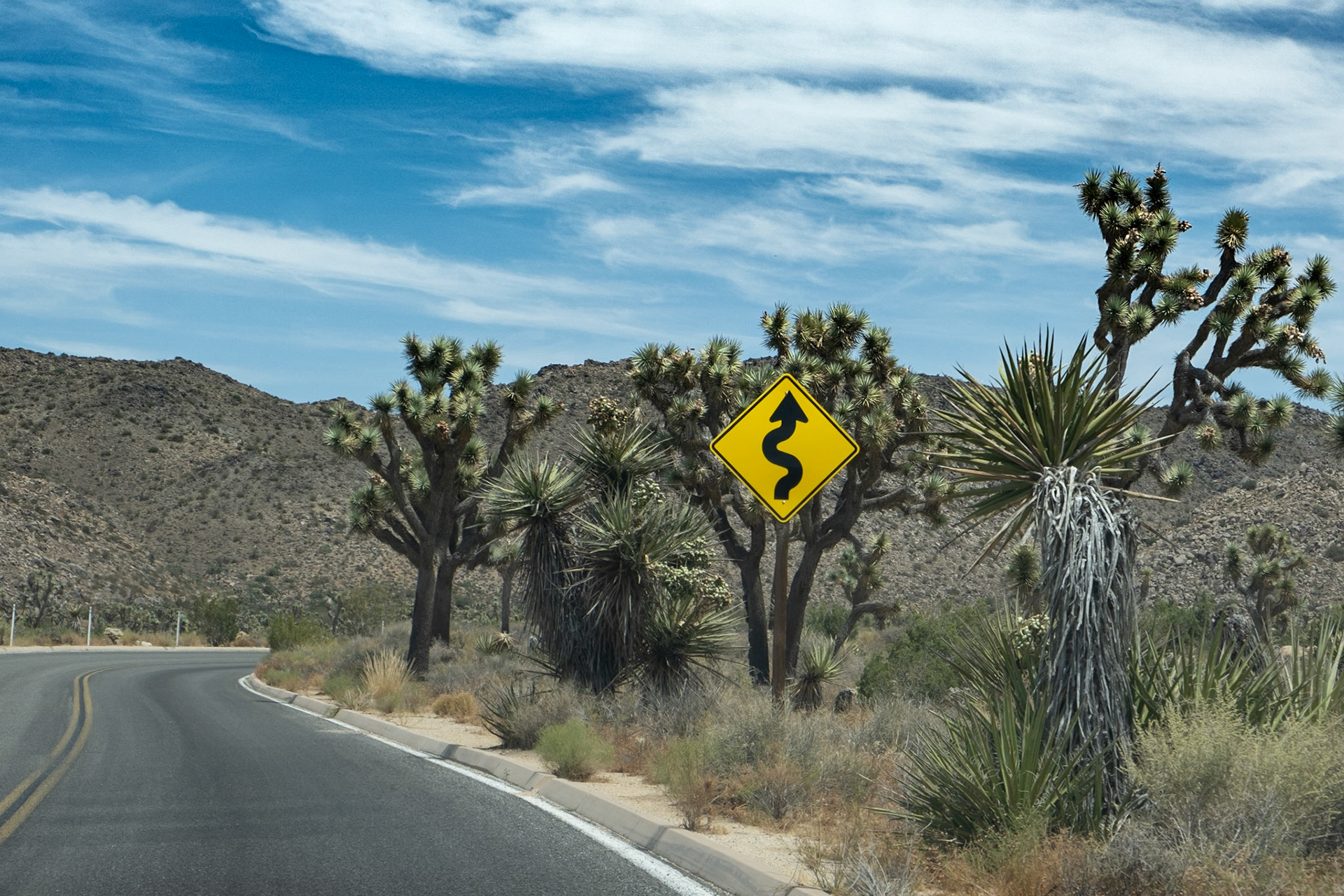 Joshua Tree National Park, CA