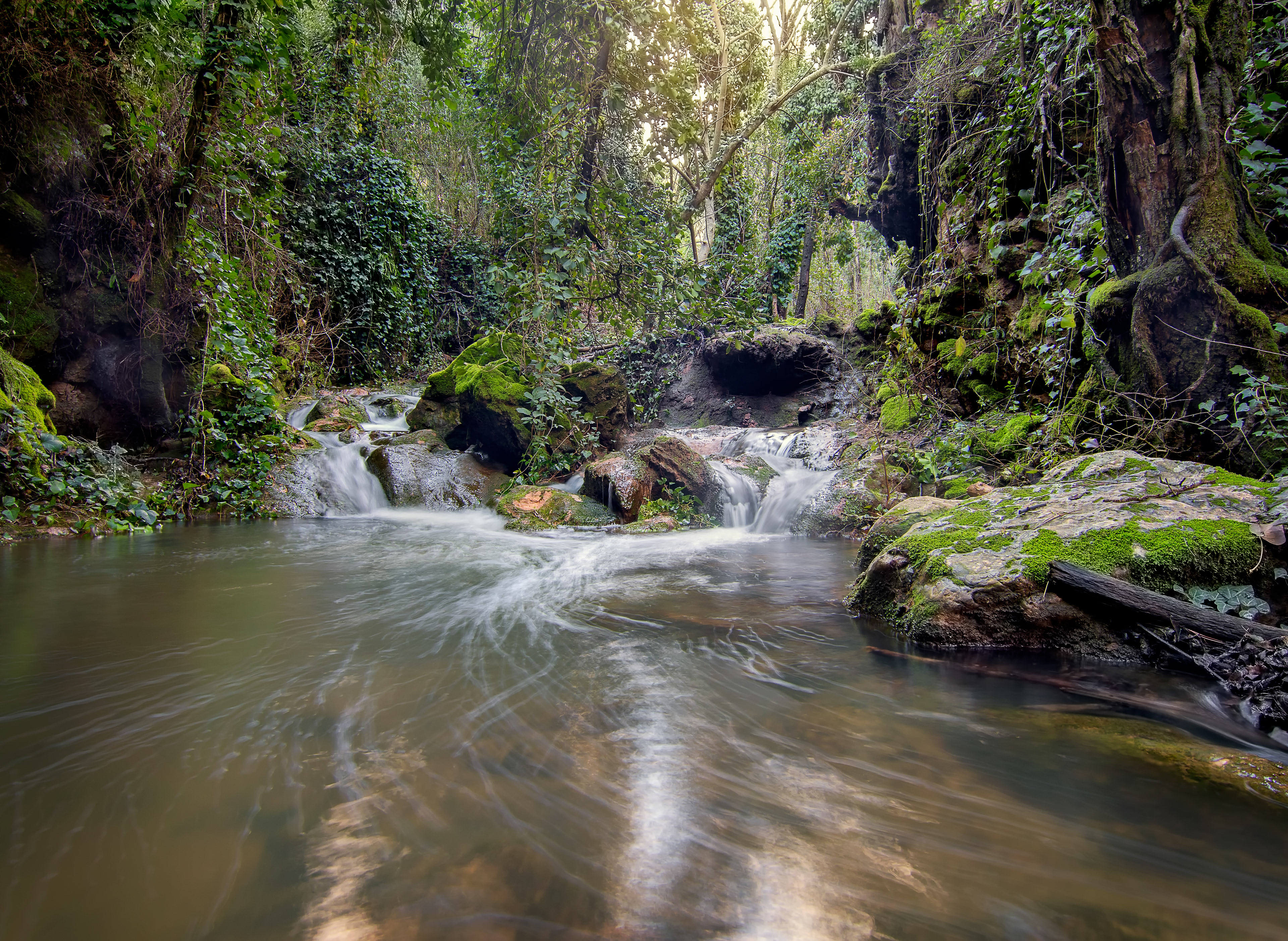 Arroyo del Molino