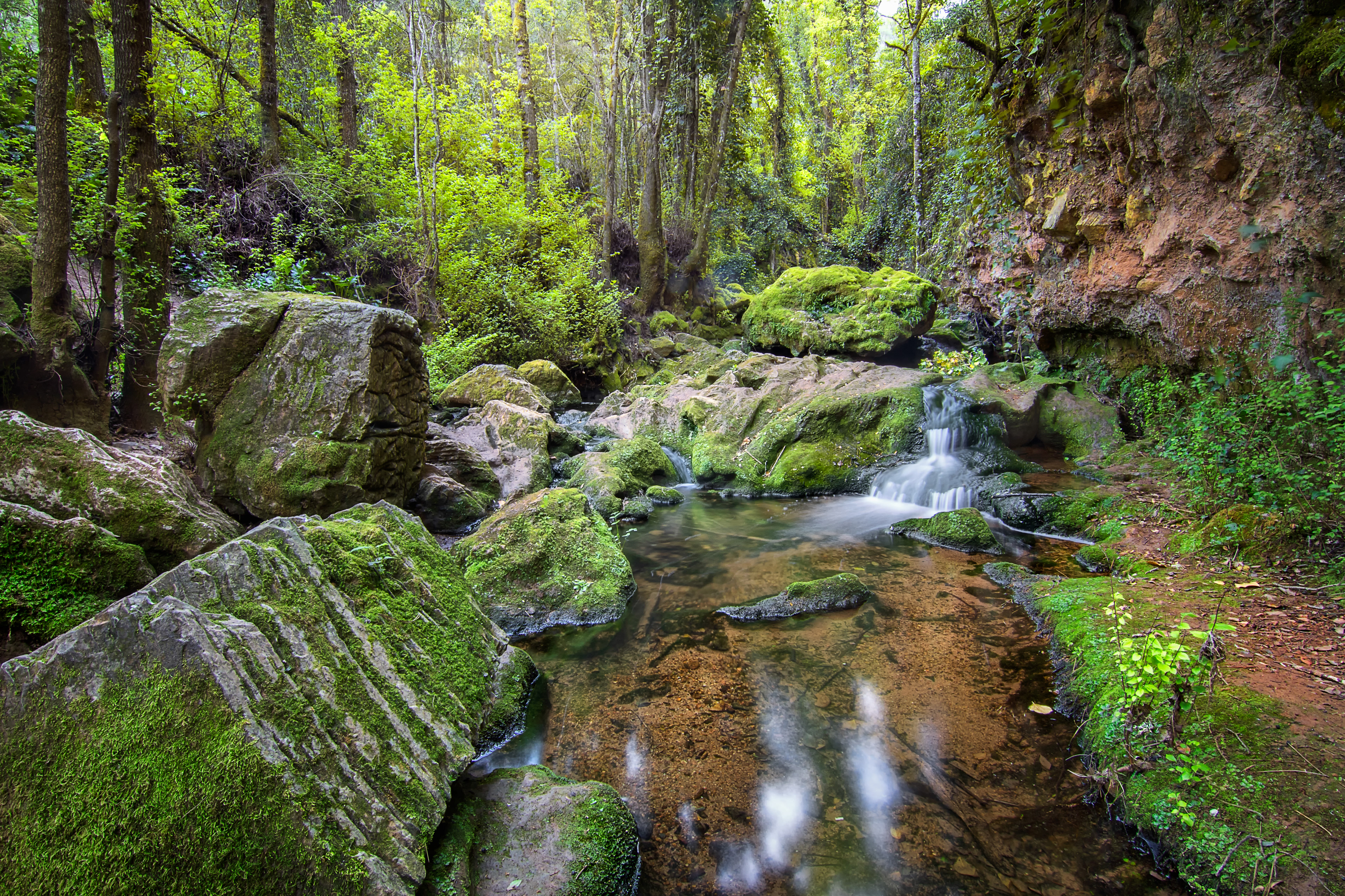 Arroyo del Molino