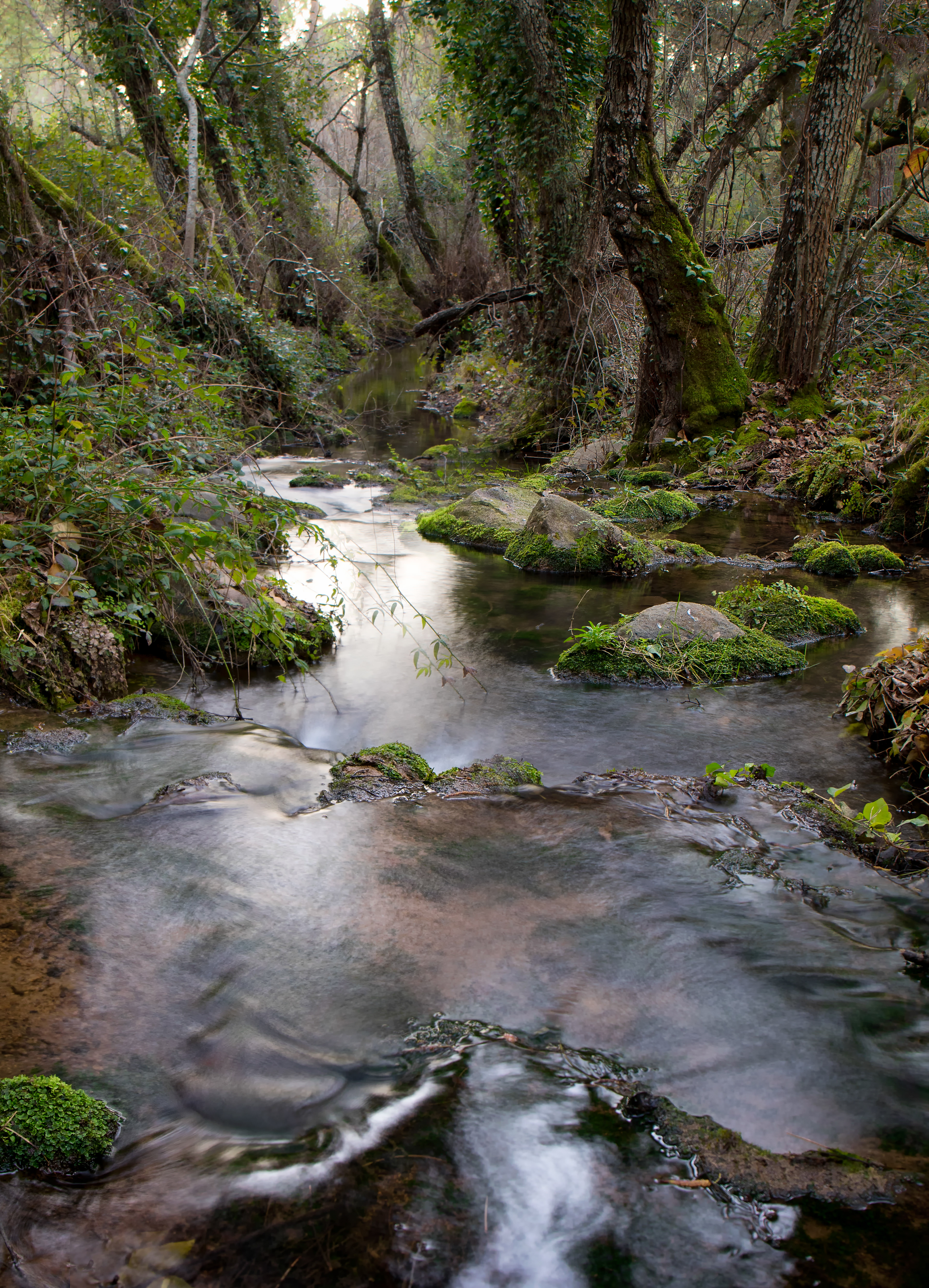 Arroyo Bejarano