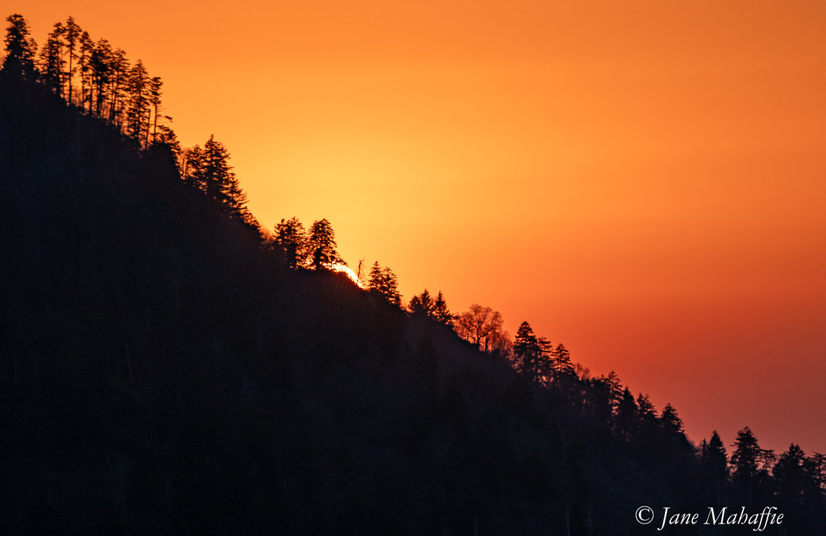 Great Smoky Mountains NP April 2025