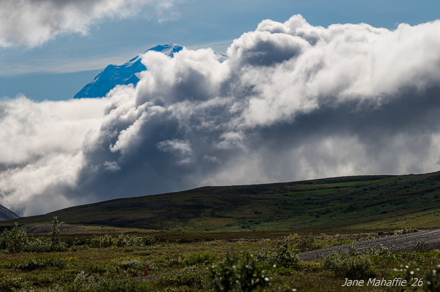 Denali peaking out
