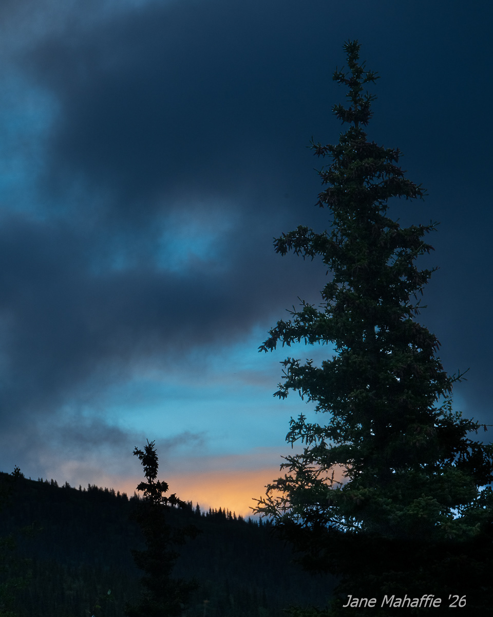 Sunrise Camp Denali