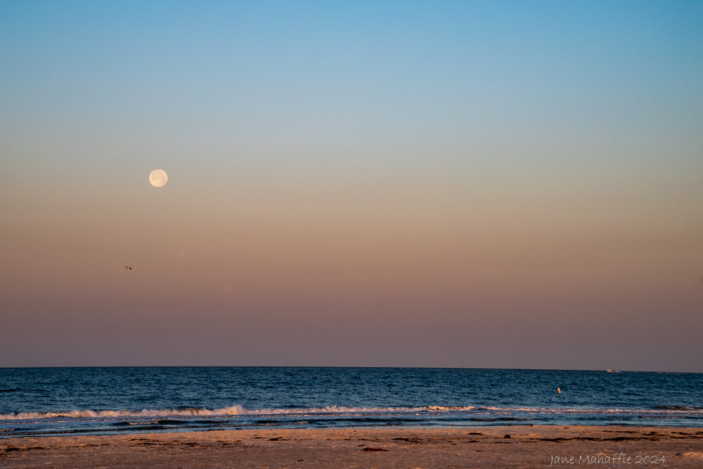 Moonset @ sunrise FL 2024