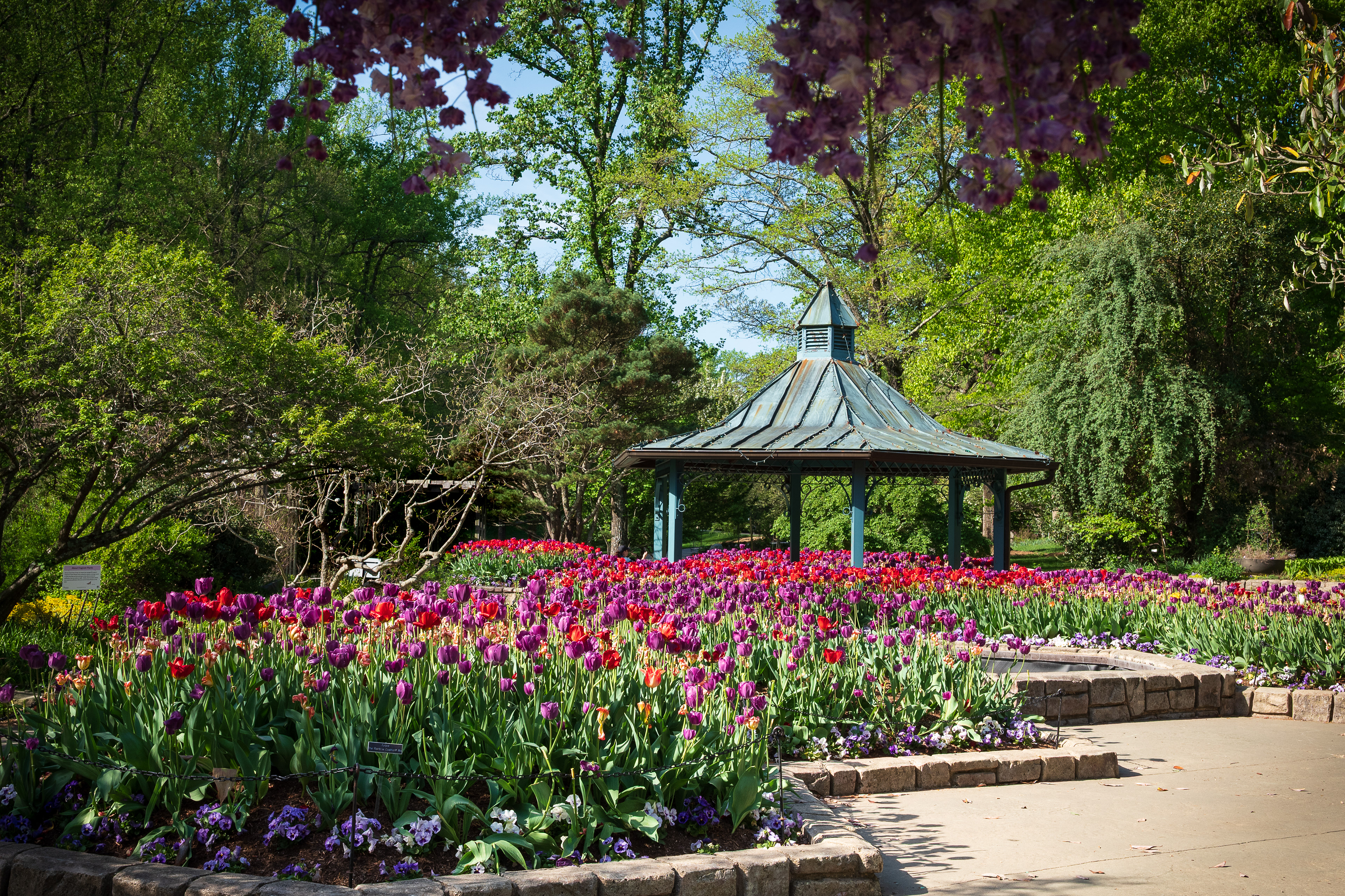 Washington Gardener 1st Place:  Garden View