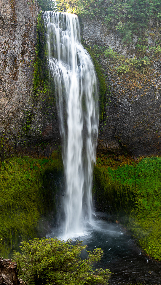 Salt Creek Falls, OR - Sep 24