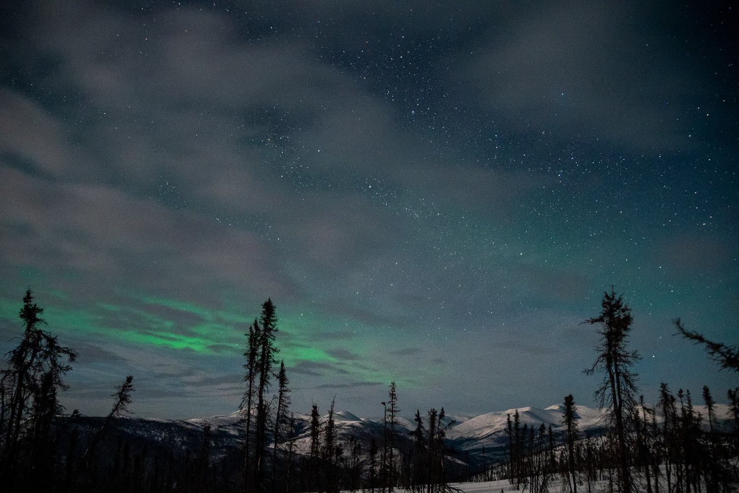 Chena Hot Springs Alaska 2024