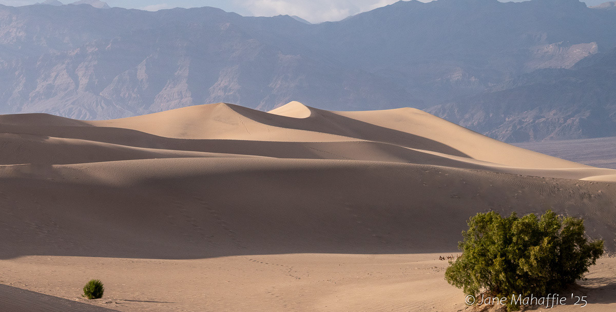 Mesquite Flats - Death Valley NP