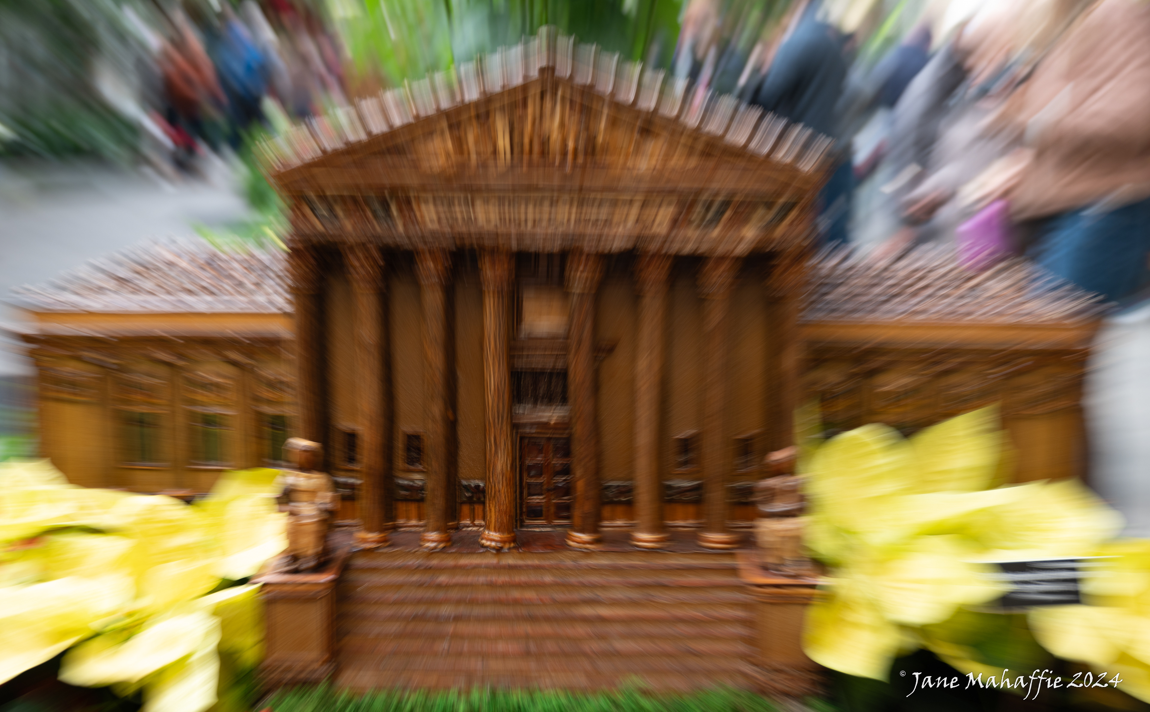 Crazy Supreme Court -- US Botanical Garden 12 24