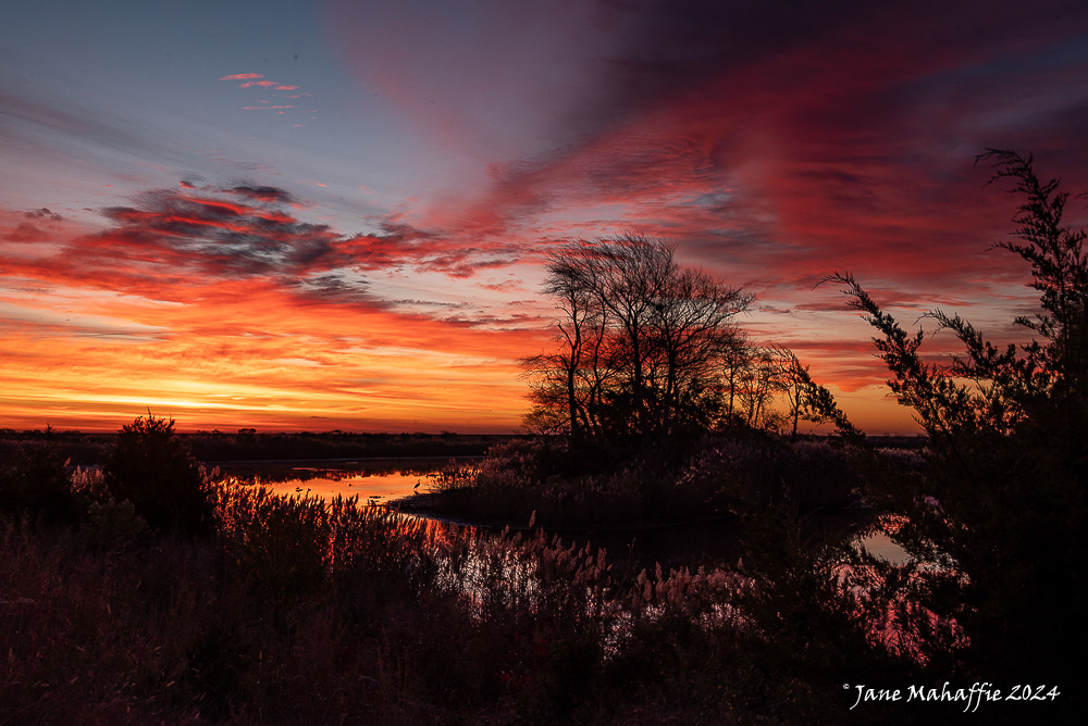 Sunrise Bombay Hook - Nov 24