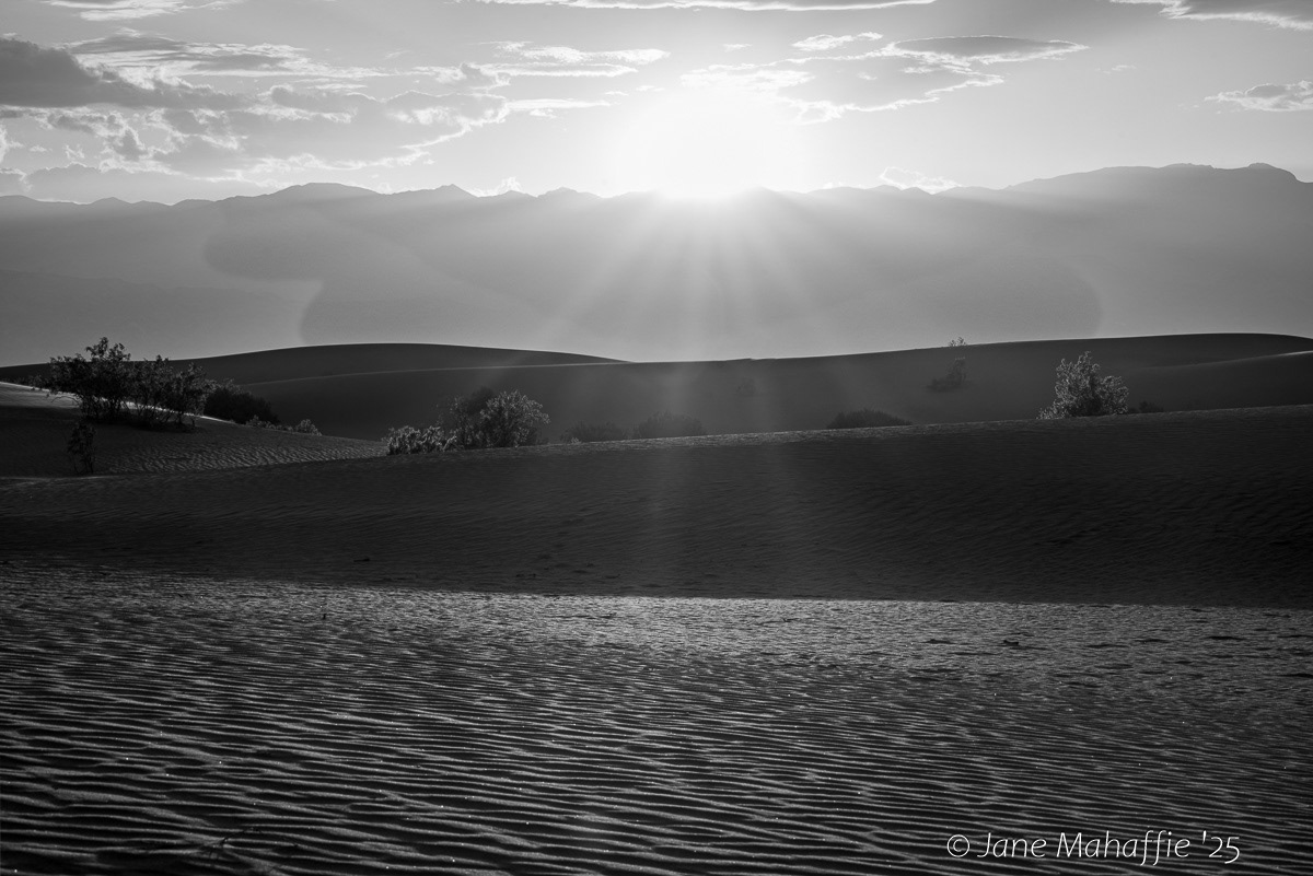 Sunset Mesquite Flats in B/W -- Death Valley NP