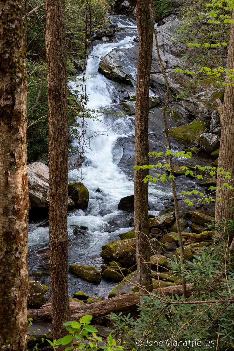 GSMNP