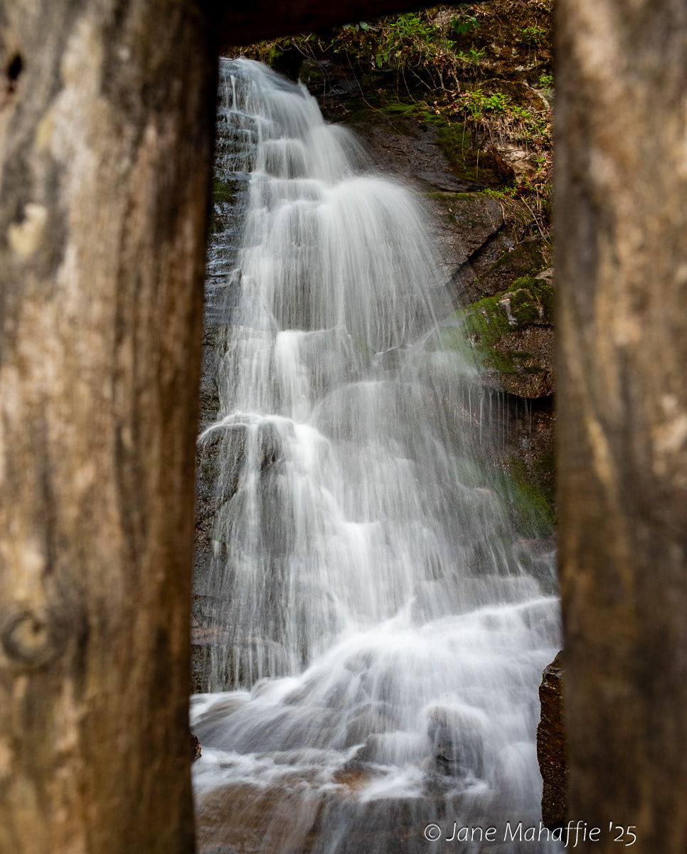 GSMNP Deep Creek Three Waterfall Hike