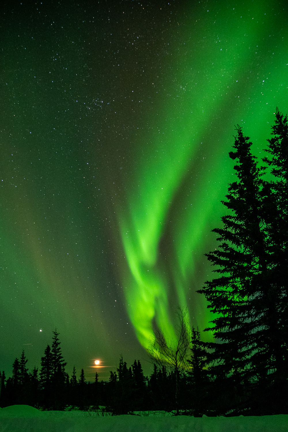 Fairbanks Alaska 2024