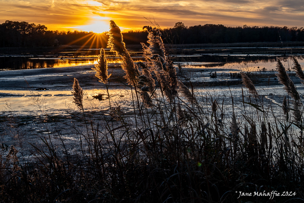 Sunset Bombay Hook, DE - Nov 24