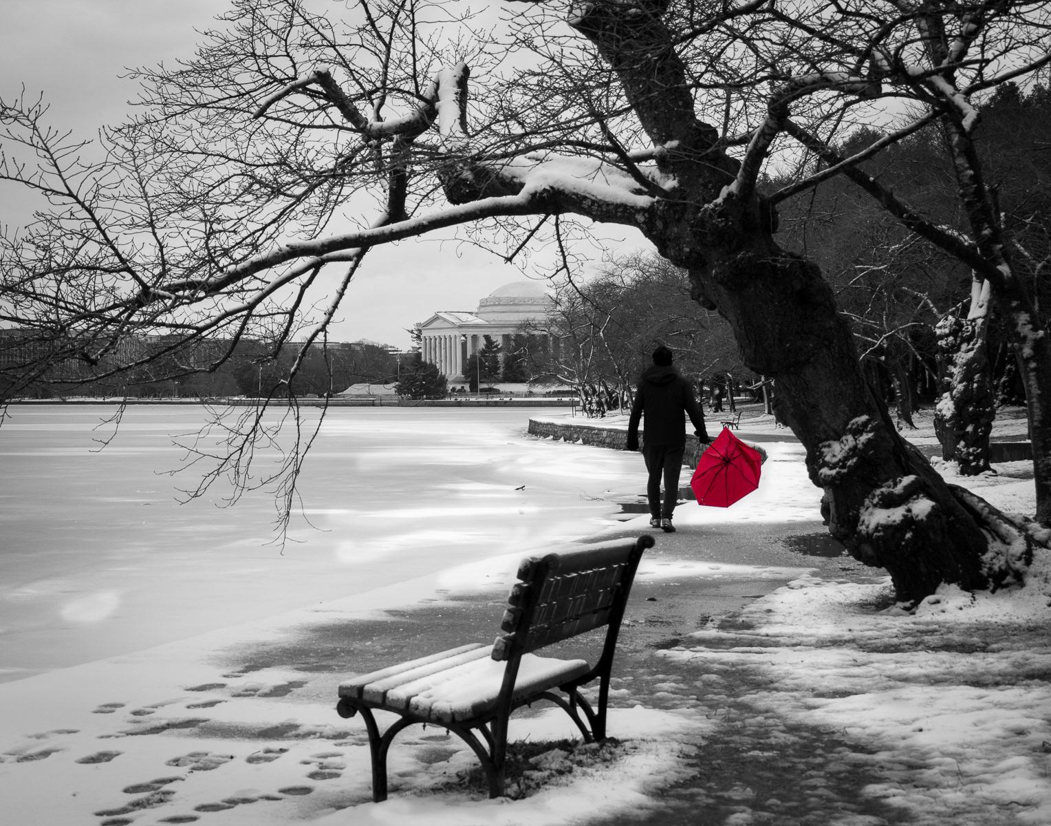 The Red Umbrella, Washington DC