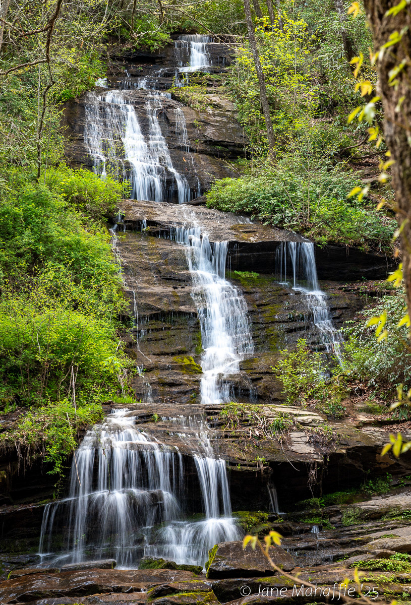 GSMNP Deep Creek Three Waterfall Hike