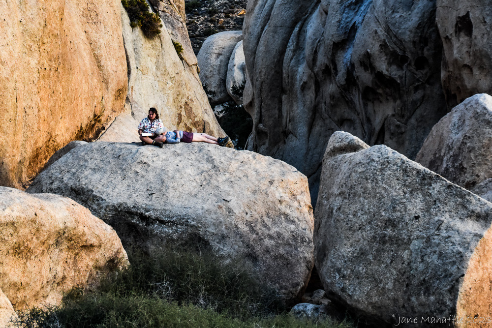 Joshua Tree NP