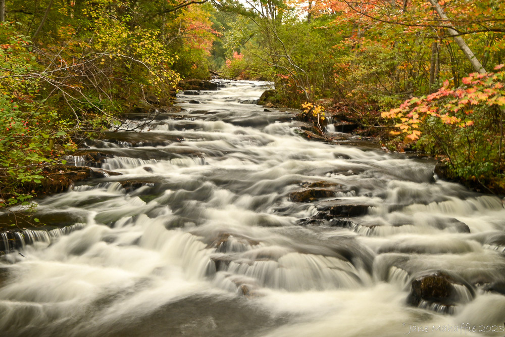 Waterfall Acadia NP 2023