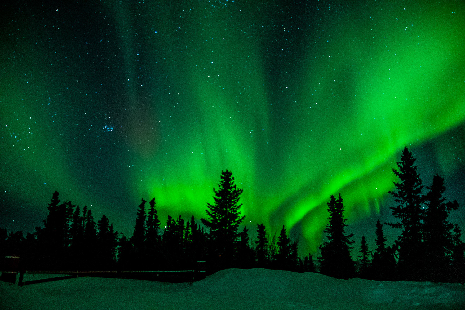 Fairbanks Alaska 2024