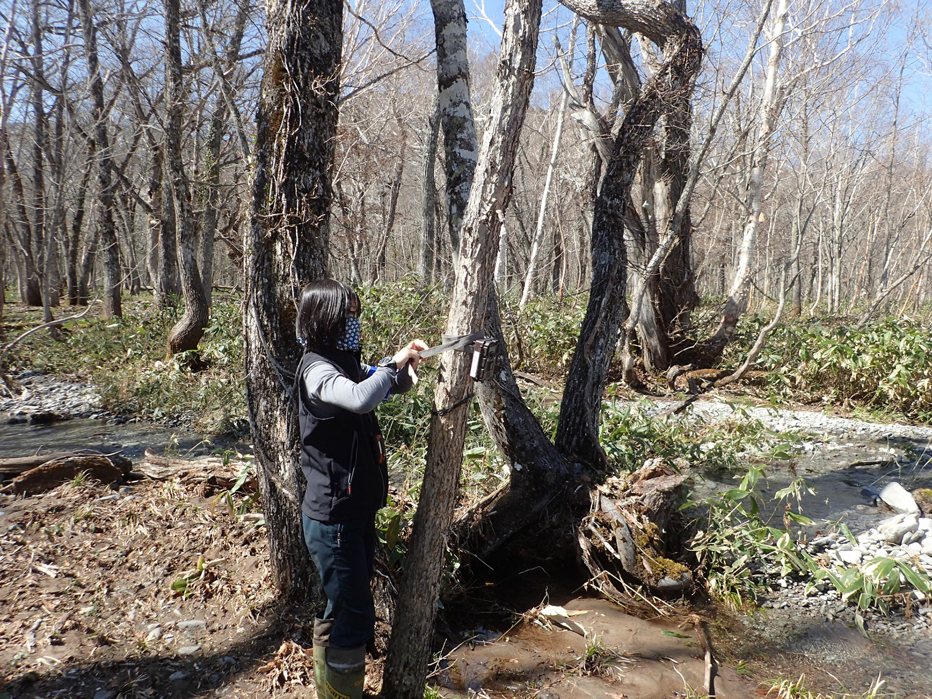 センサーカメラ調査