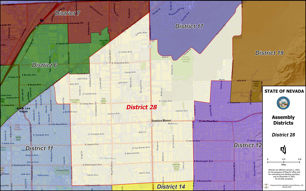 D'Silva for Nevada - Assembly District 28 - ASSEMBLY DISTRICT 28 MAP