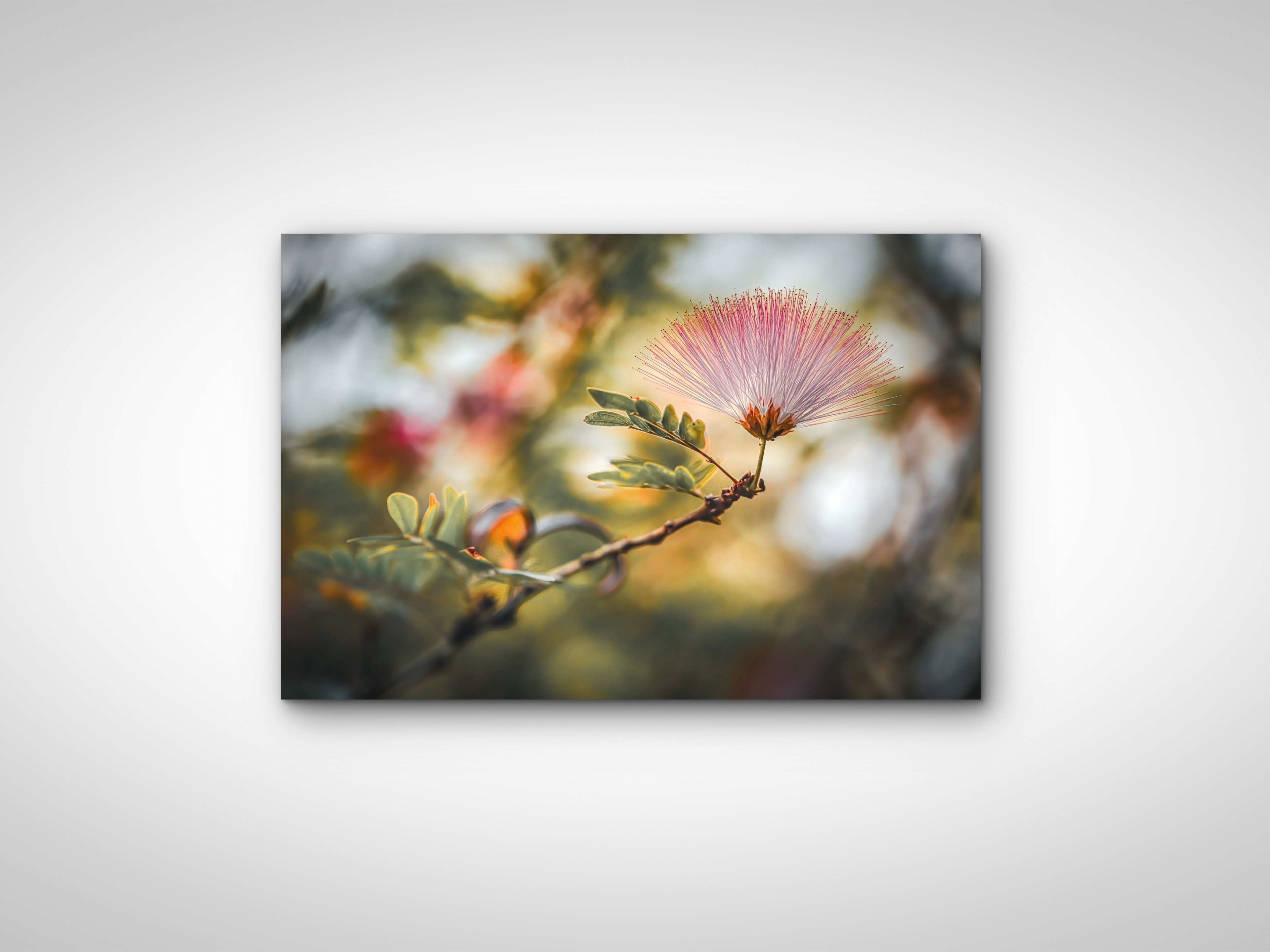 115 | Persian Silk | 5K Resolution HQ | Open Edition