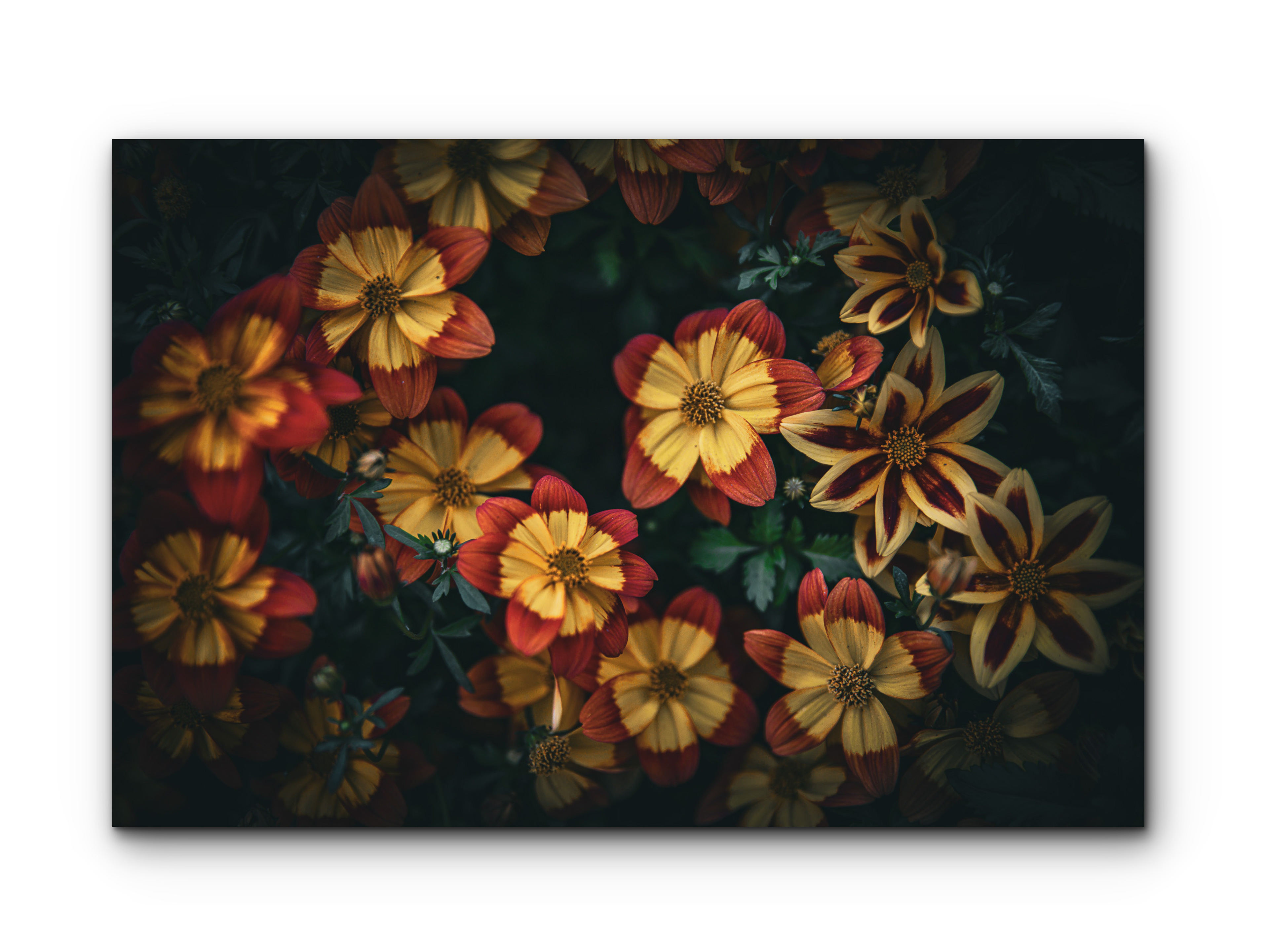 007 | Floral Collage | 10K Resolution HQ | Open Edition