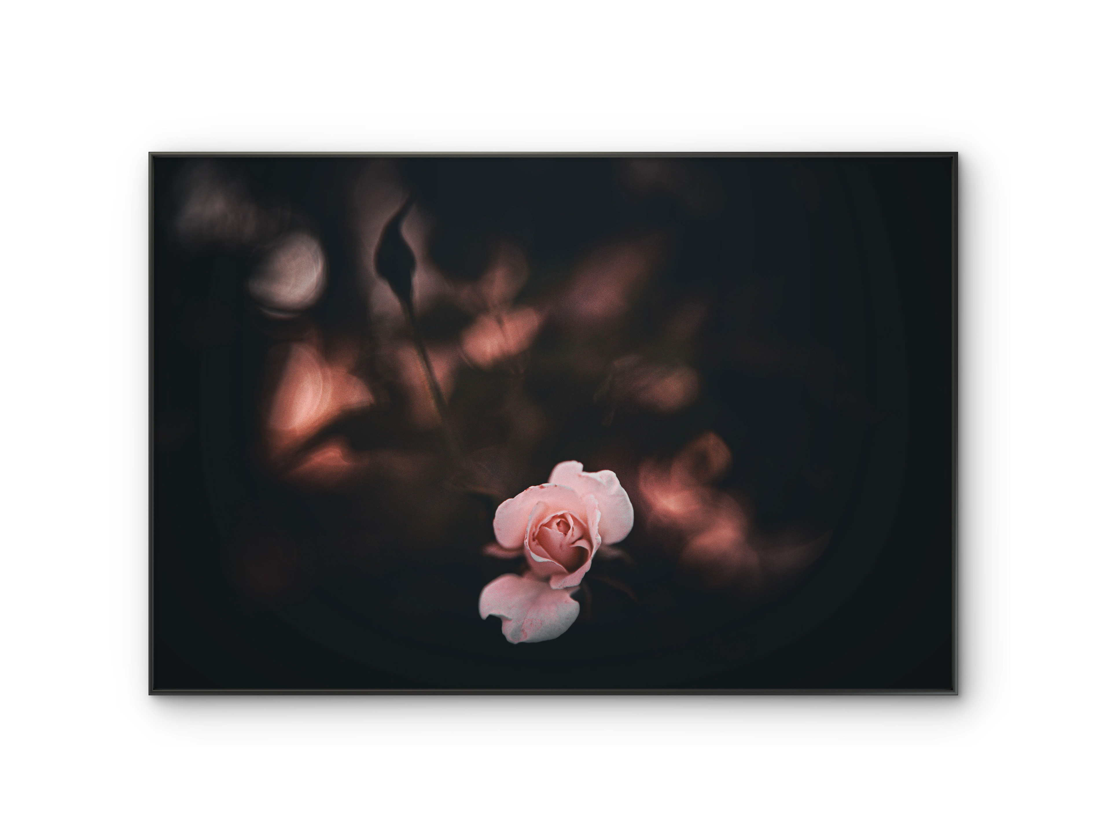 048 | Floral hue| 10K Resolution HQ | Open Edition