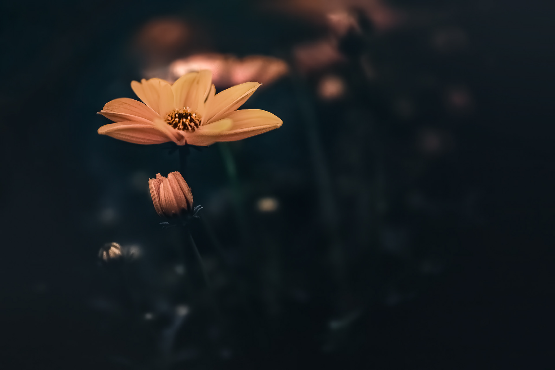 Cat. N017 | “Courage” | 10K HQ | 10496×7024 | 