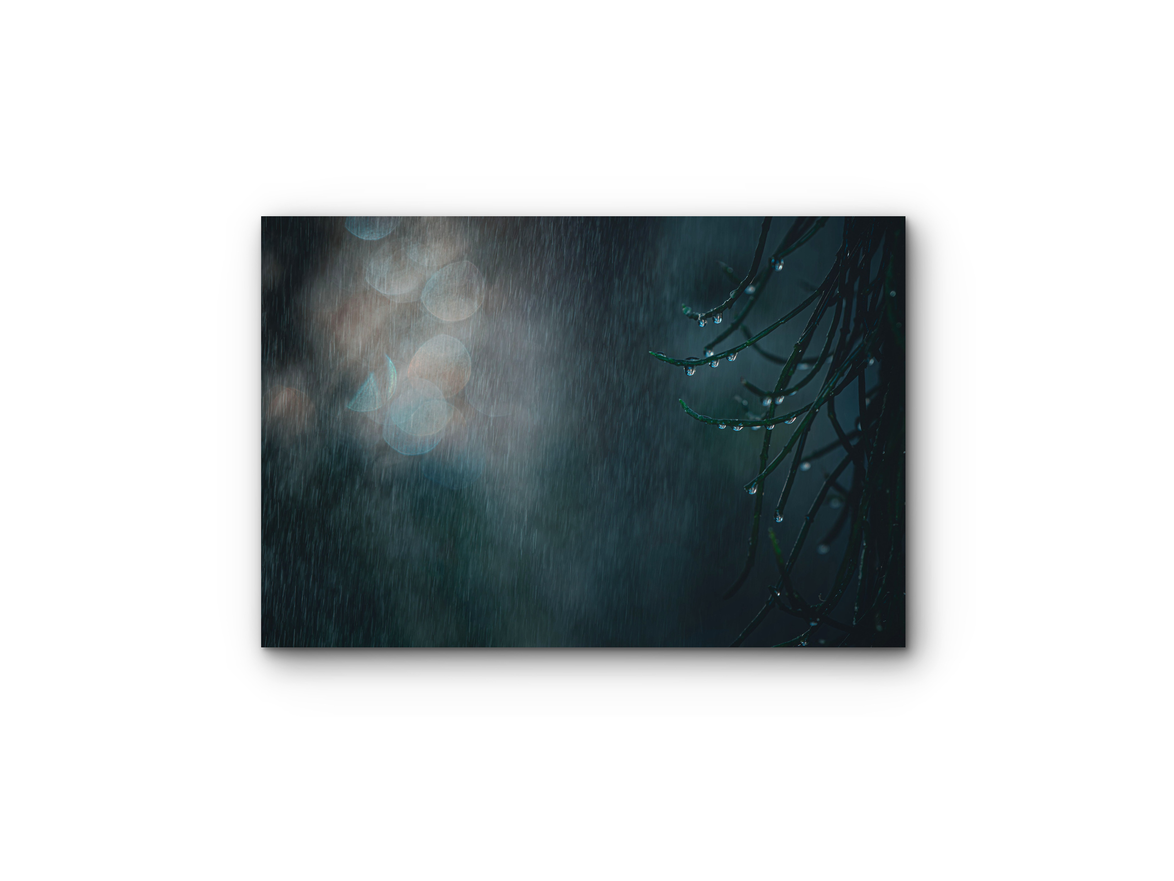 112 | Summer Rain | 5K Resolution HQ | Open Edition
