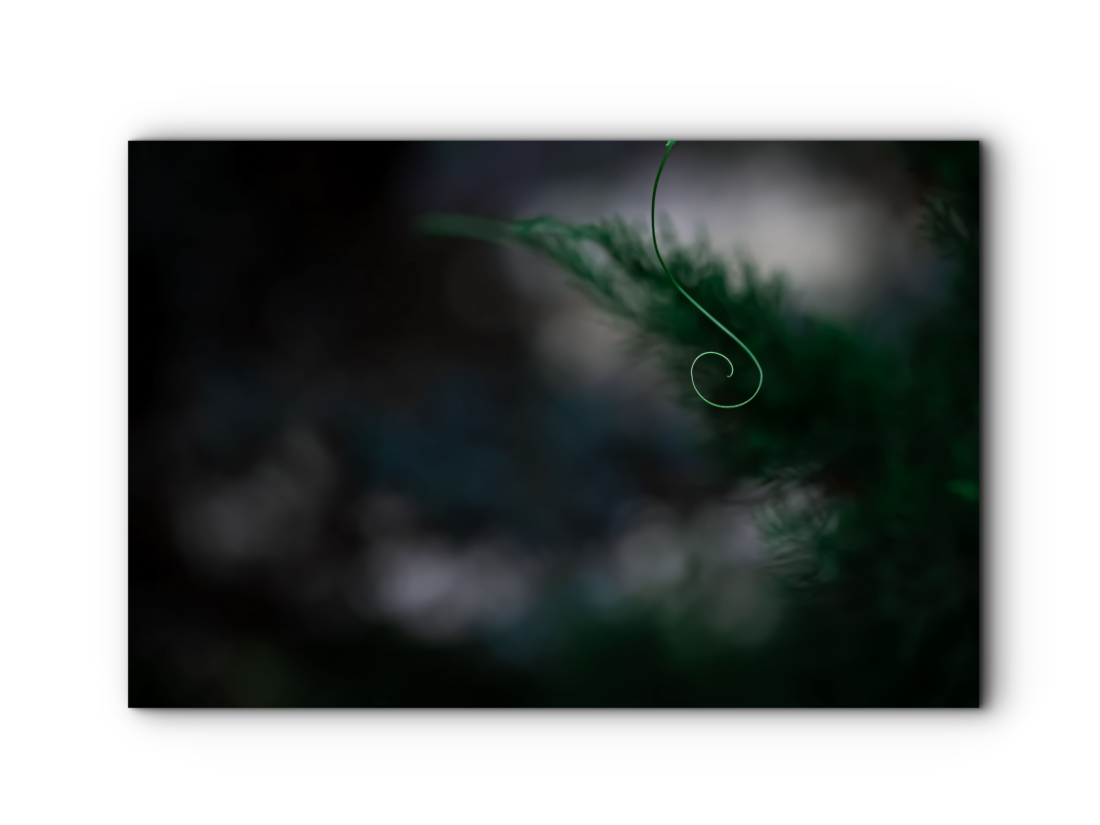 126 | Natures Clef | 5K Resolution HQ | Open Edition