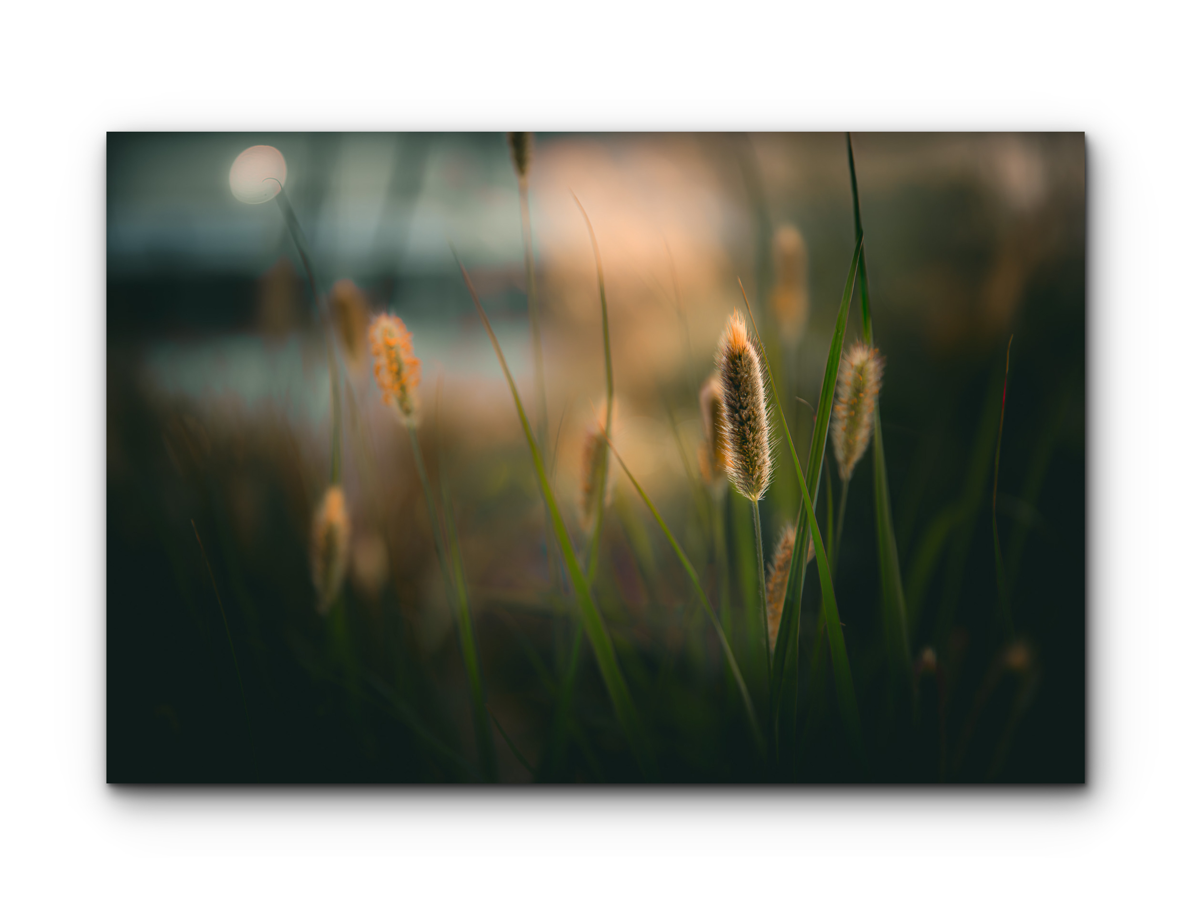 120 | lakeside | 5K Resolution HQ | Open Edition