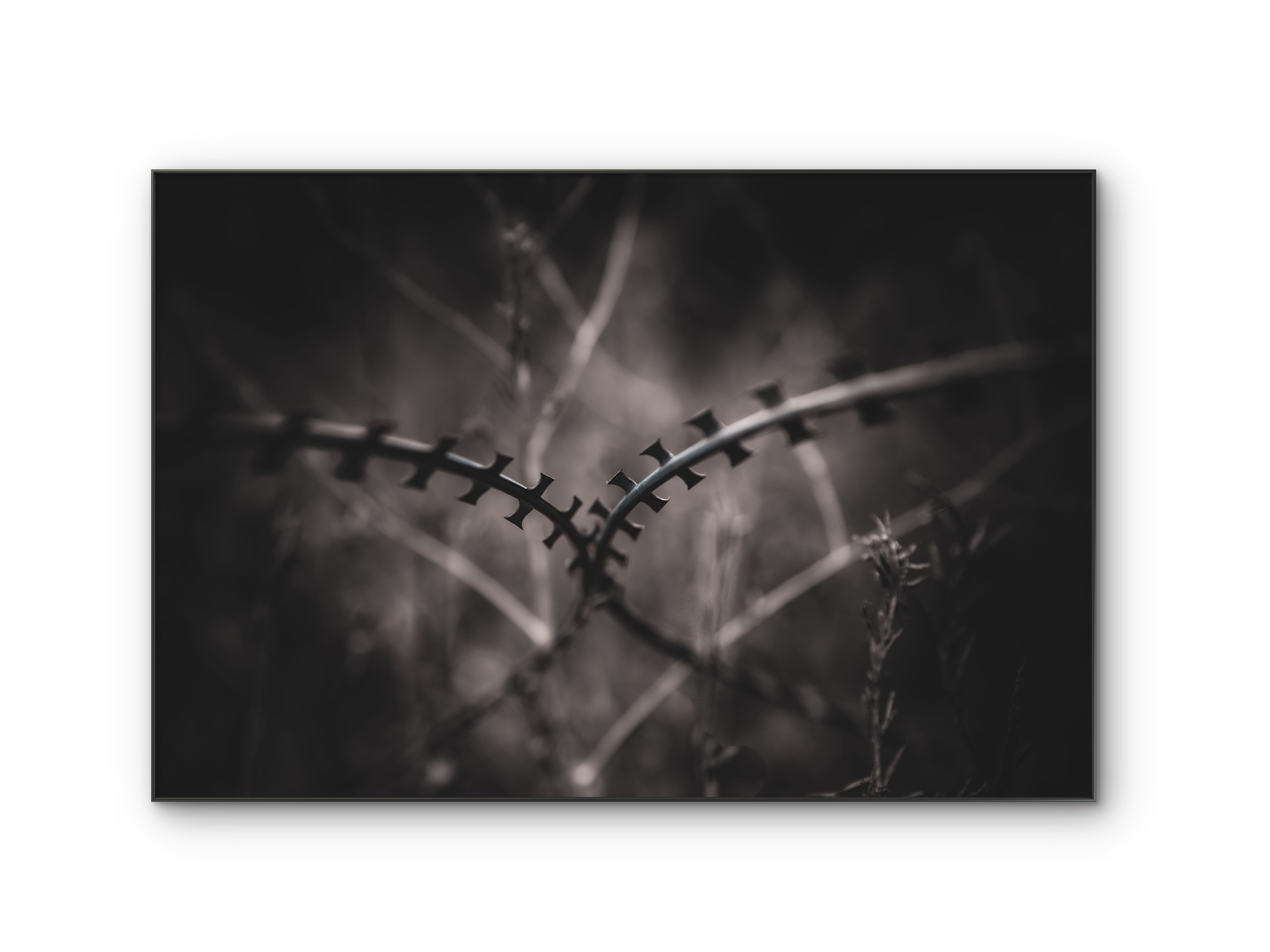 067 | The Trenches | 5K Resolution HQ | Open Edition