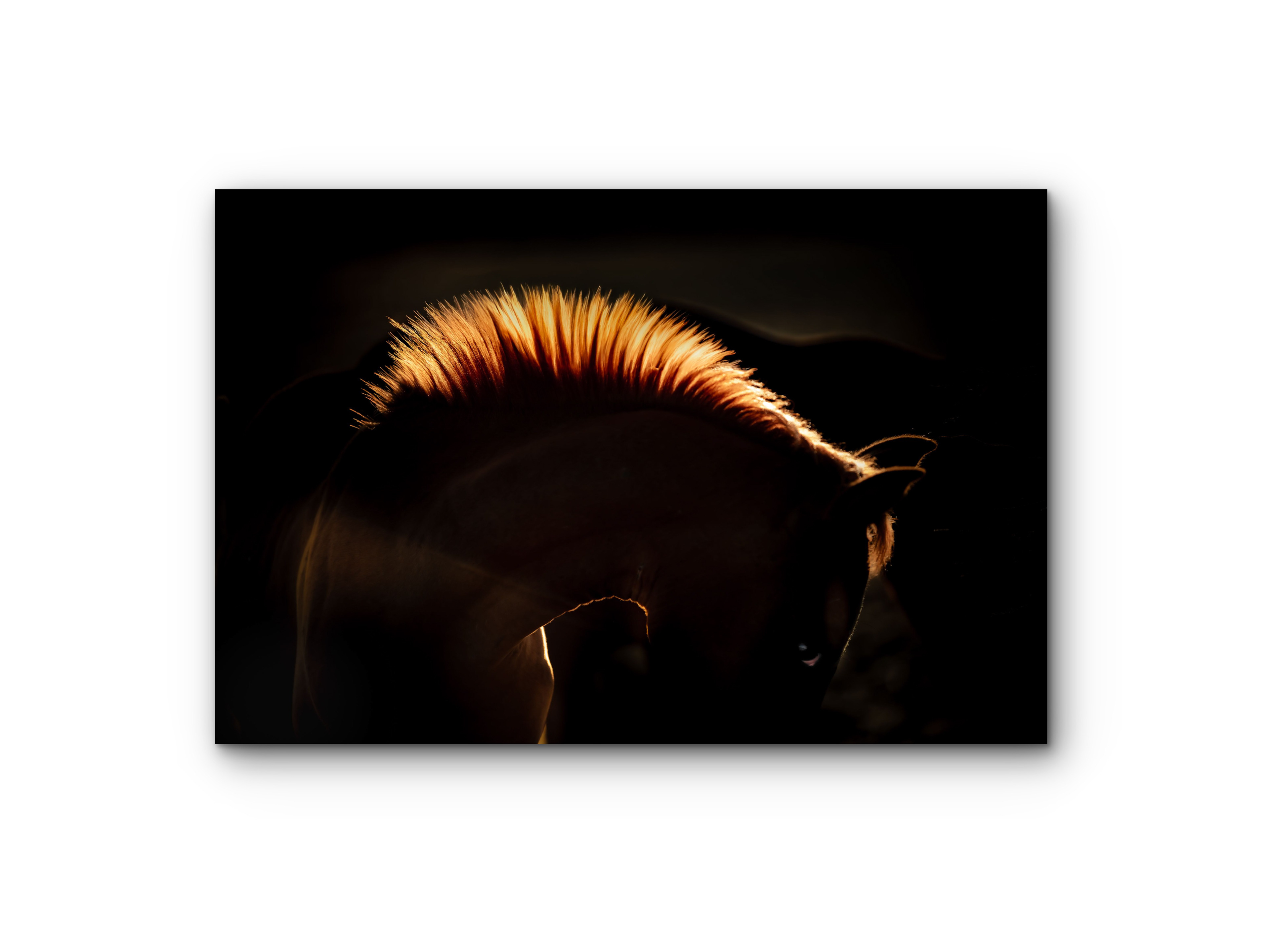 084 | Grace | 5K Resolution HQ | Open Edition