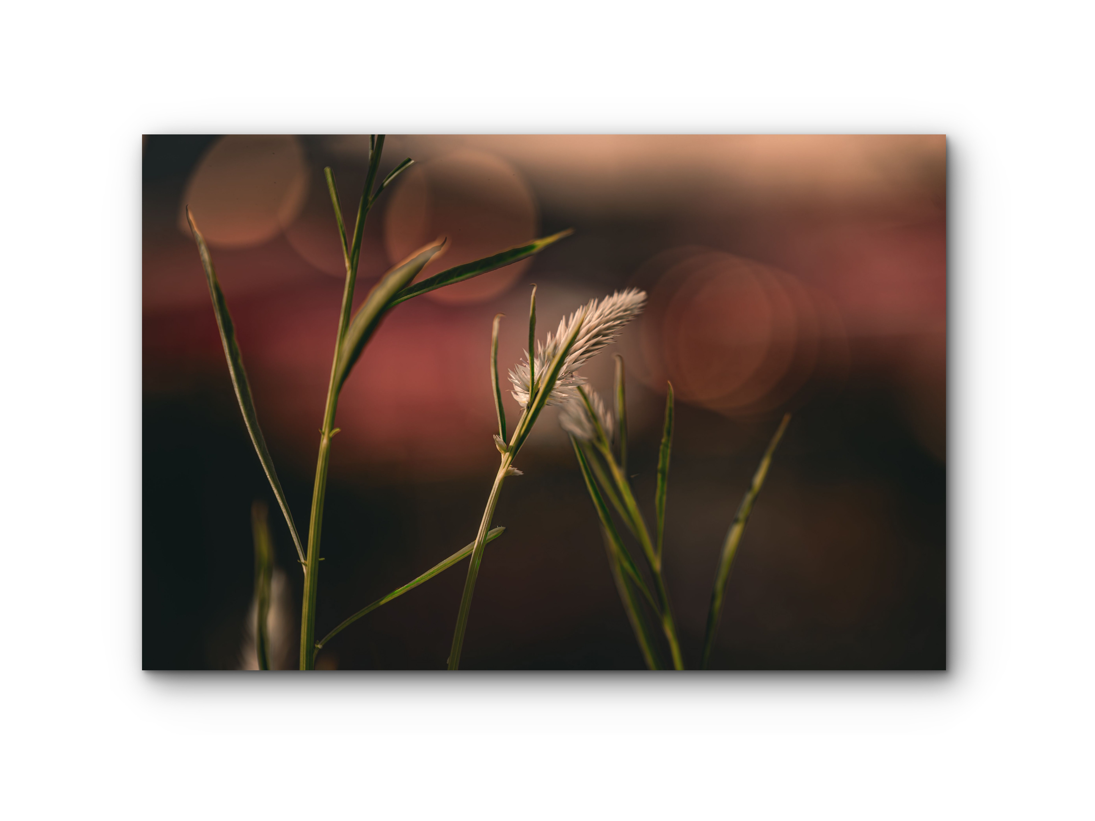 118| Retro Bokeh | 5K Resolution HQ | Open Edition