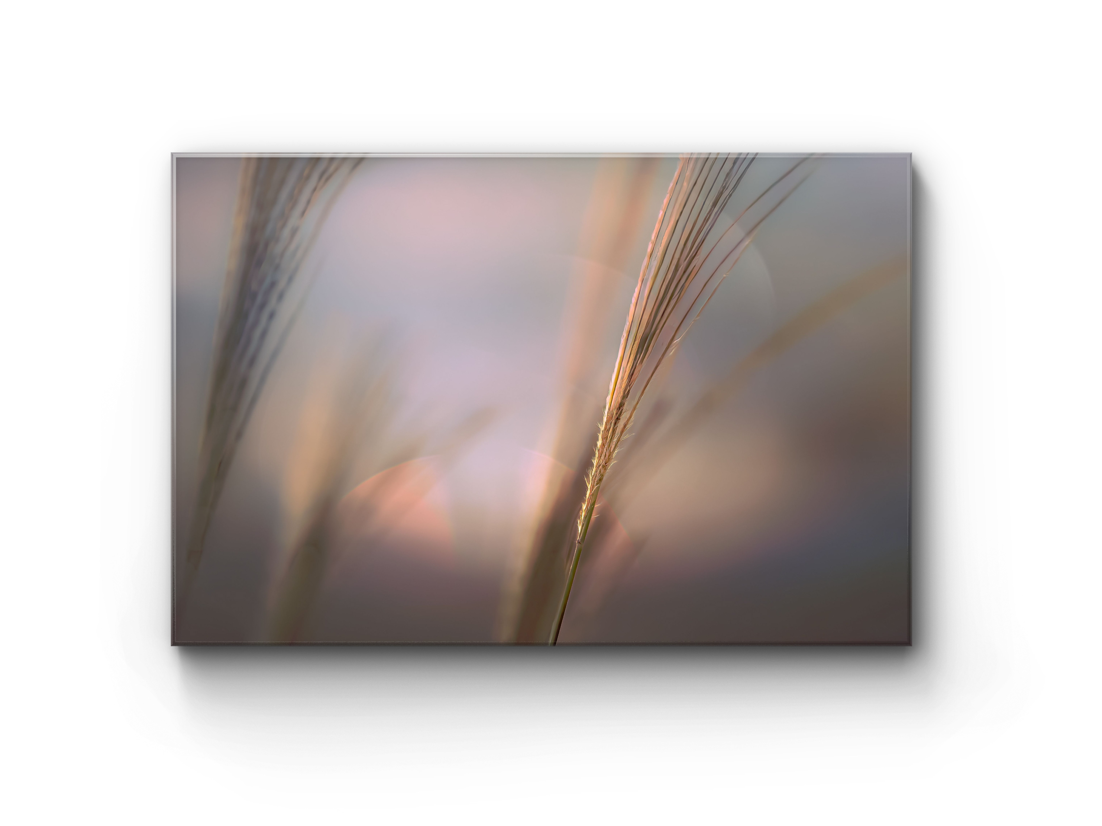 016 | Last Light | 10K Resolution HQ | Open Edition