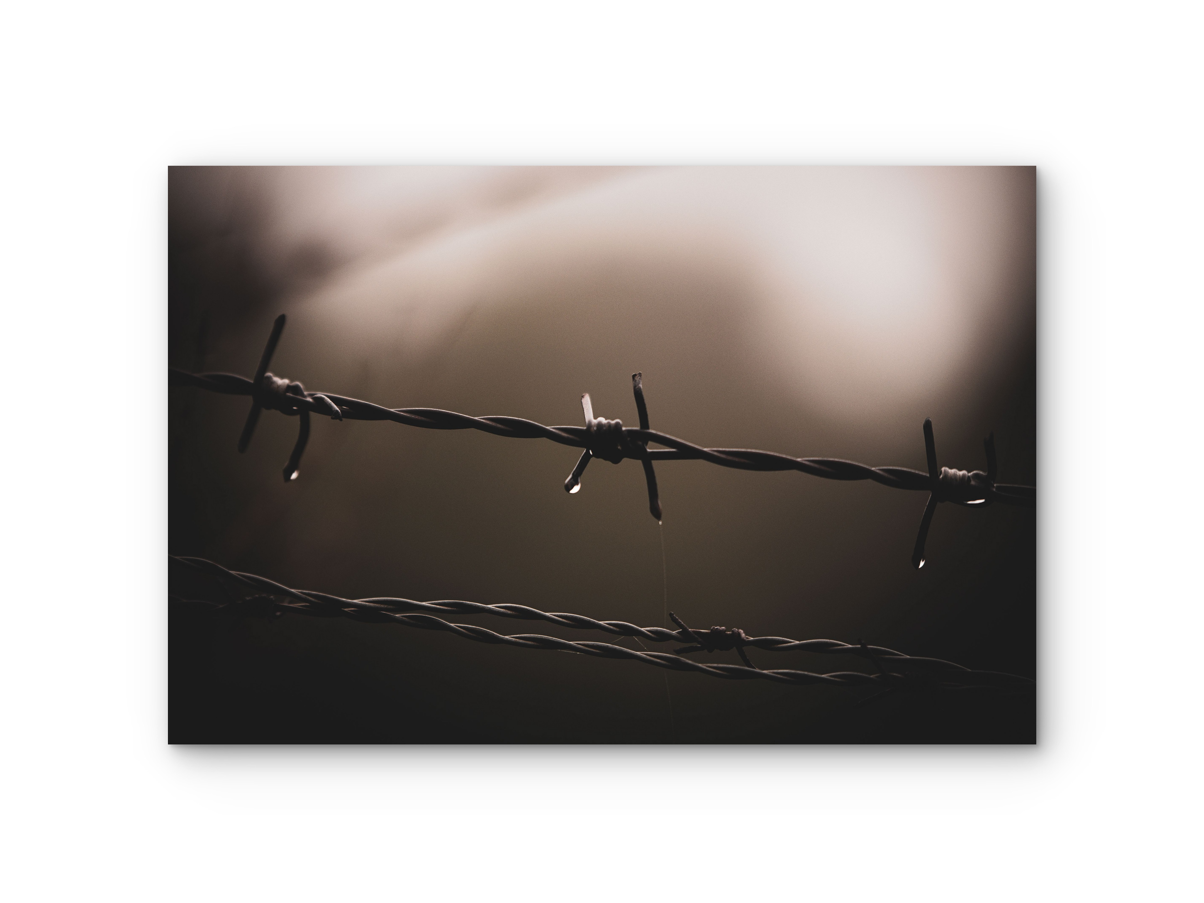 502 | Soft Borders | 5K Resolution HQ | Open Edition