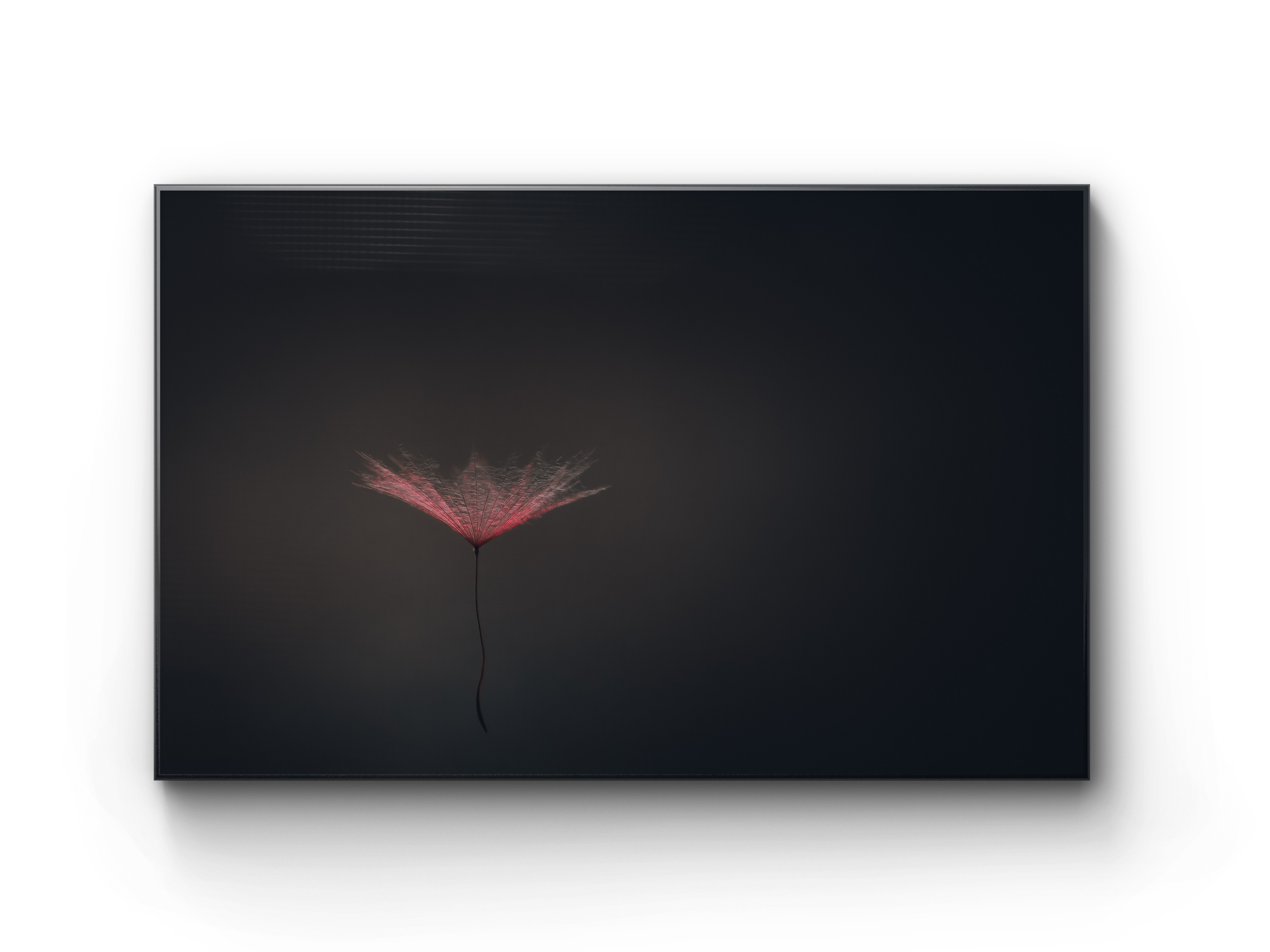 001 | Weightless | 5K Resolution HQ | Open Edition