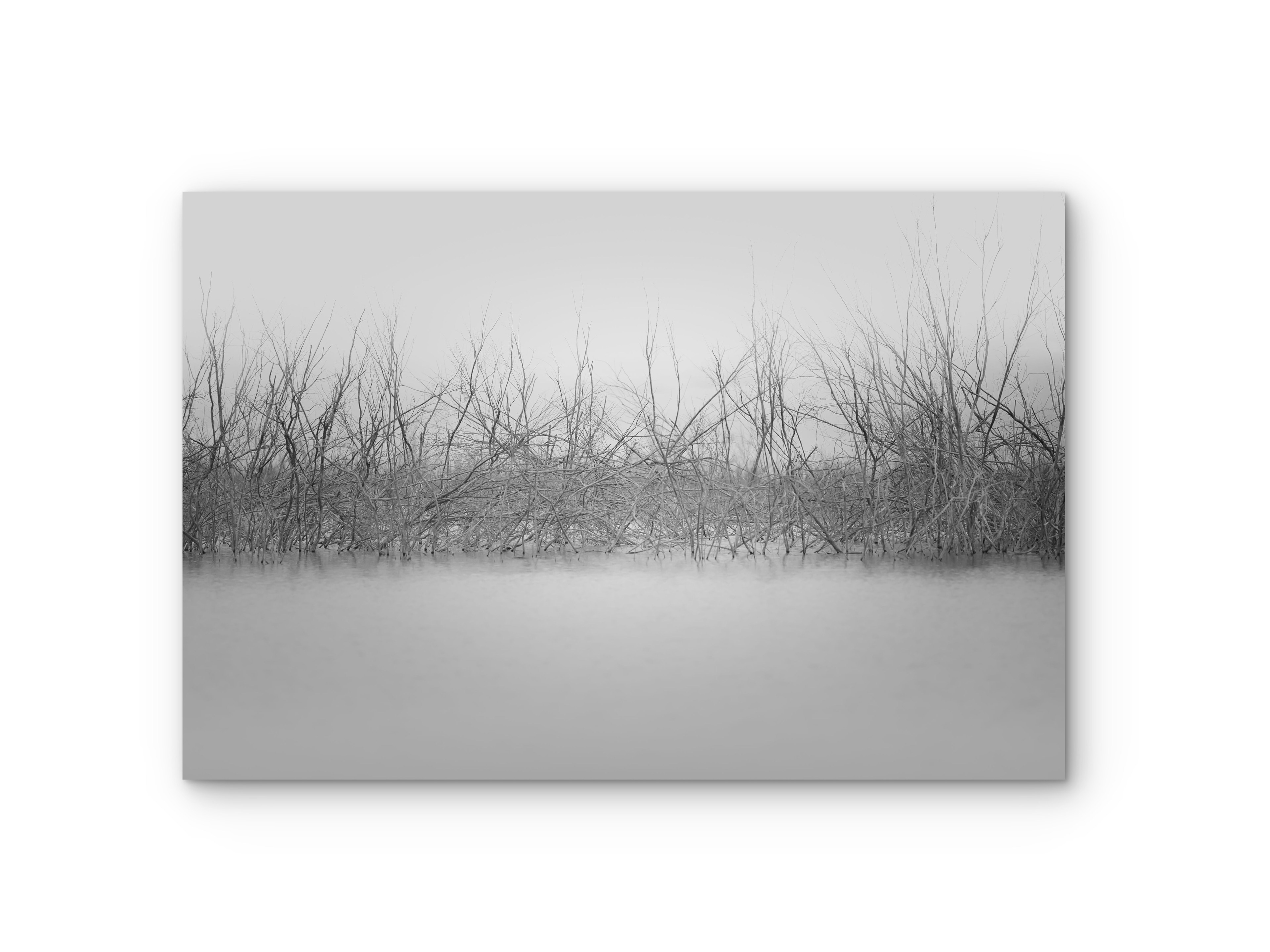 019| Lake Rush 5K Resolution HQ | Open Edition