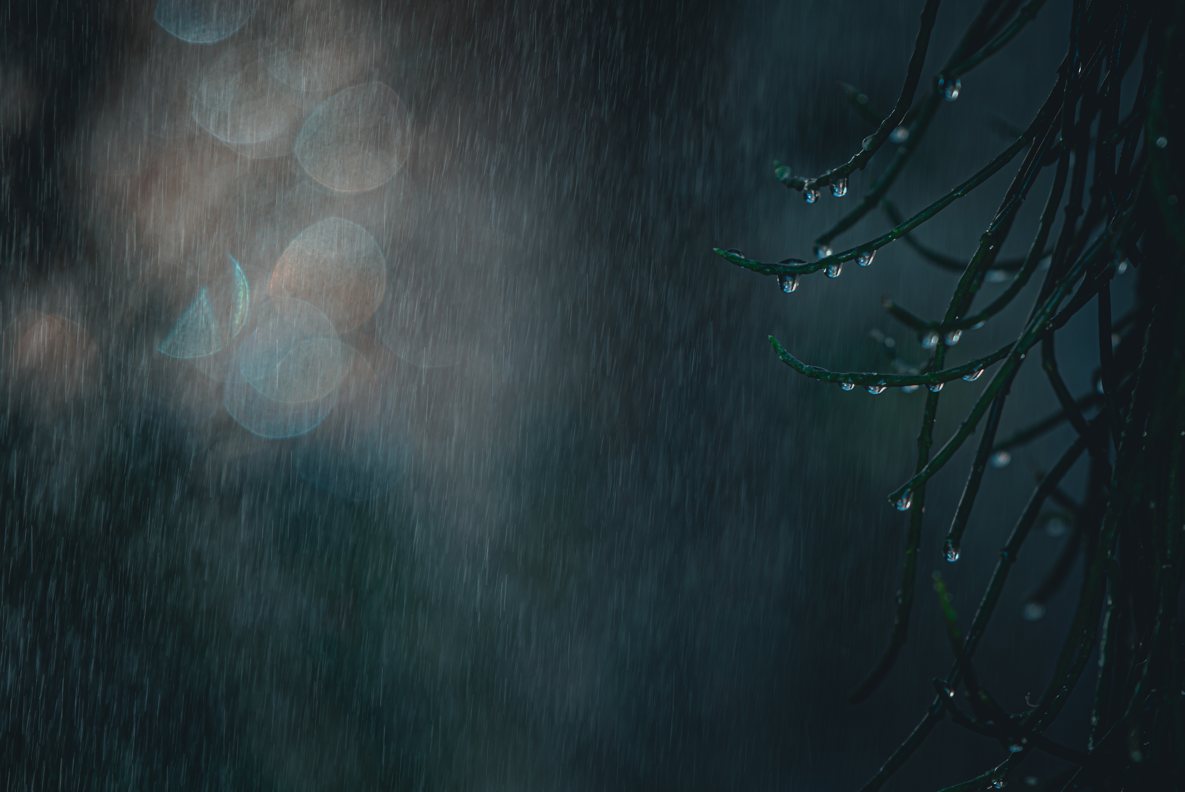 Cat. N018| “Summer Shower” | 10K HQ | 10496×7024 | $120