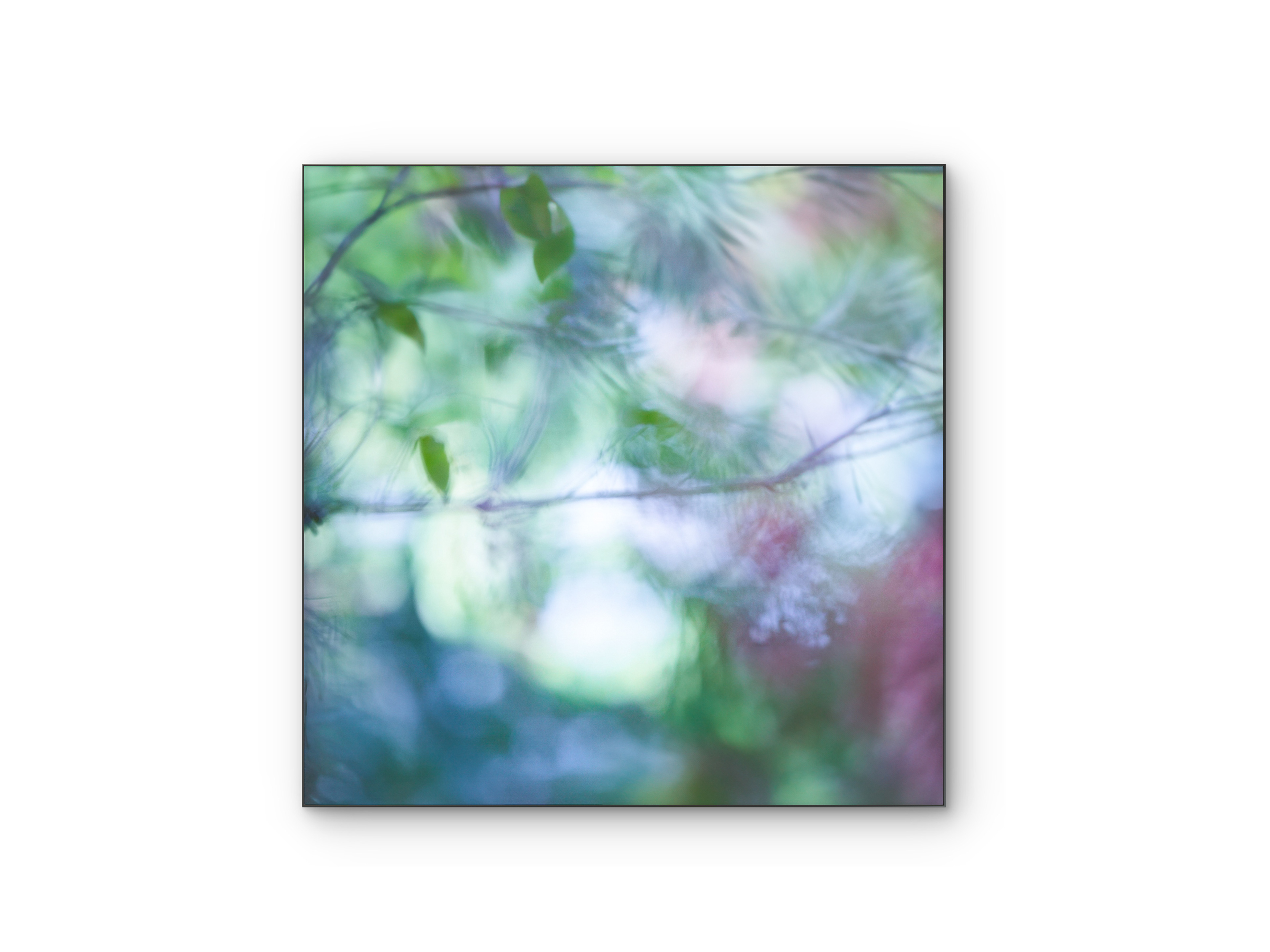 012 | Summer Haze | 10K Resolution HQ | Open Edition